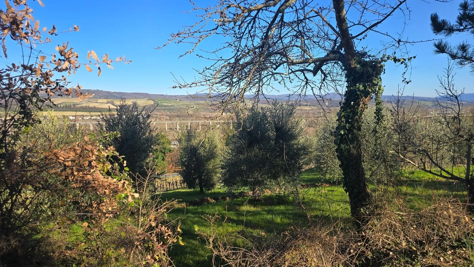 Foto 20 di 28 - Casa indipendente in vendita a Castel Viscardo