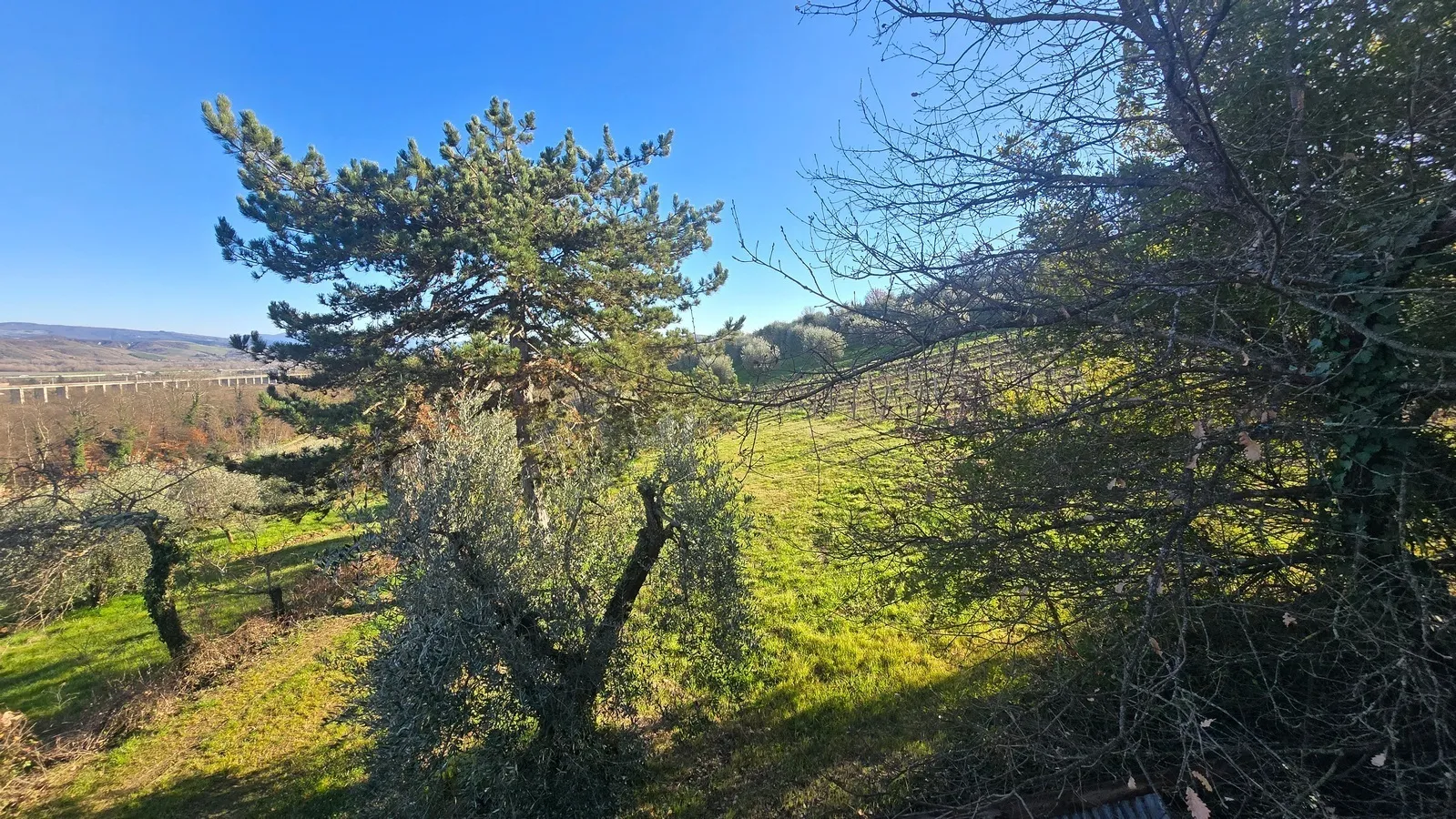 Foto 21 di 28 - Casa indipendente in vendita a Castel Viscardo