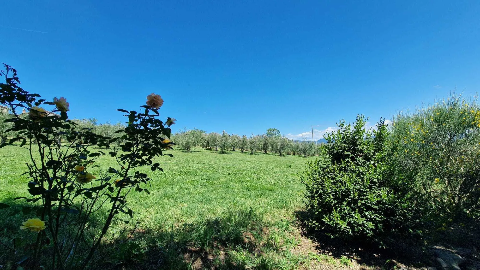Foto 20 di 28 - Casa indipendente in vendita a Civitella d'Agliano