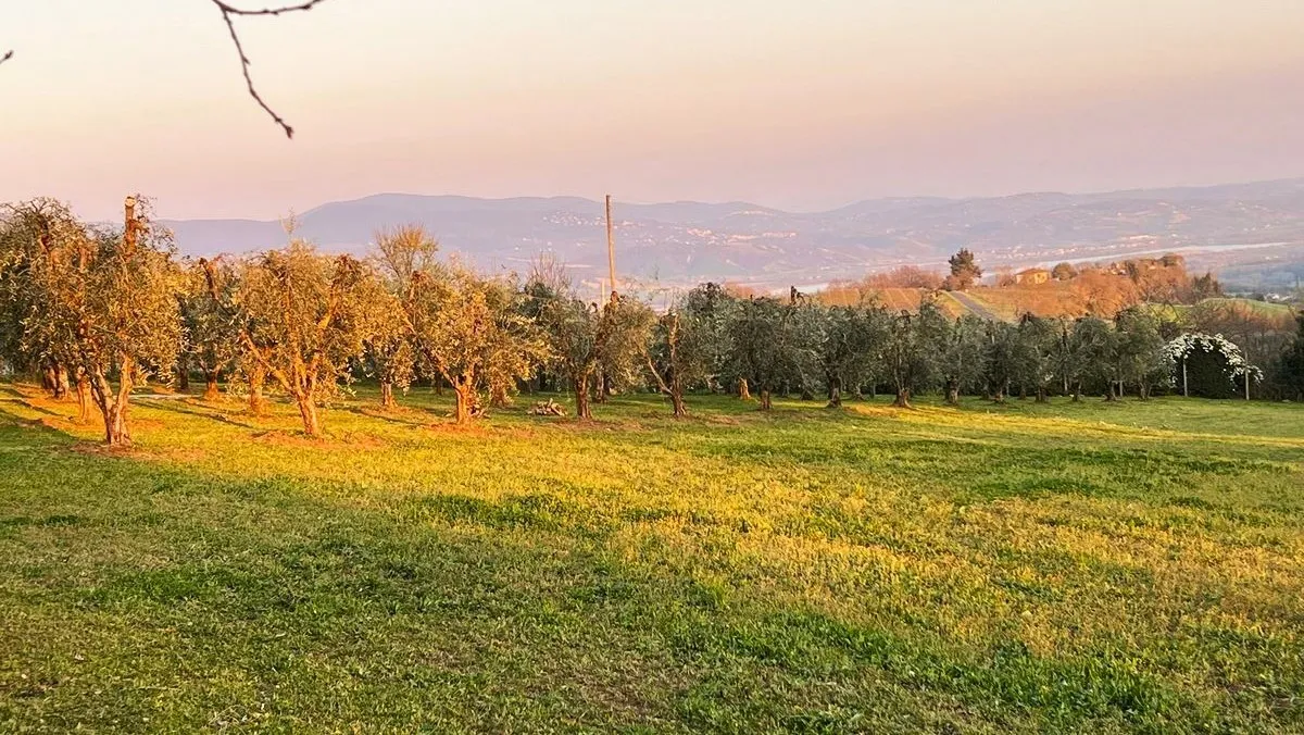 Foto 21 di 28 - Casa indipendente in vendita a Civitella d'Agliano