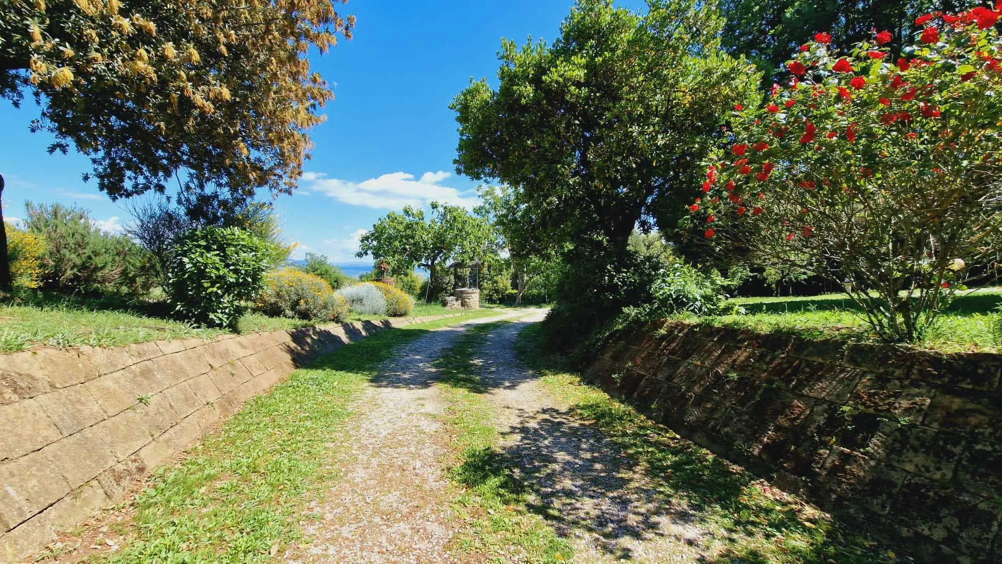 Foto 23 di 28 - Casa indipendente in vendita a Civitella d'Agliano