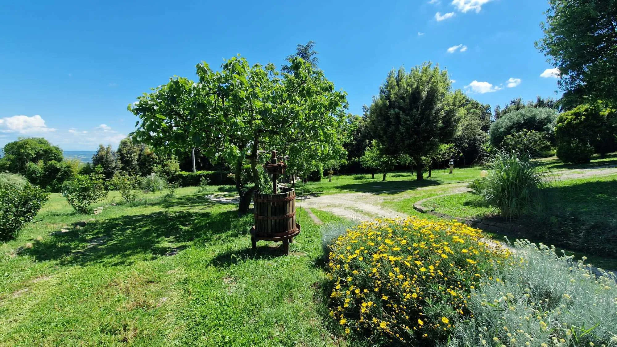 Foto 25 di 28 - Casa indipendente in vendita a Civitella d'Agliano
