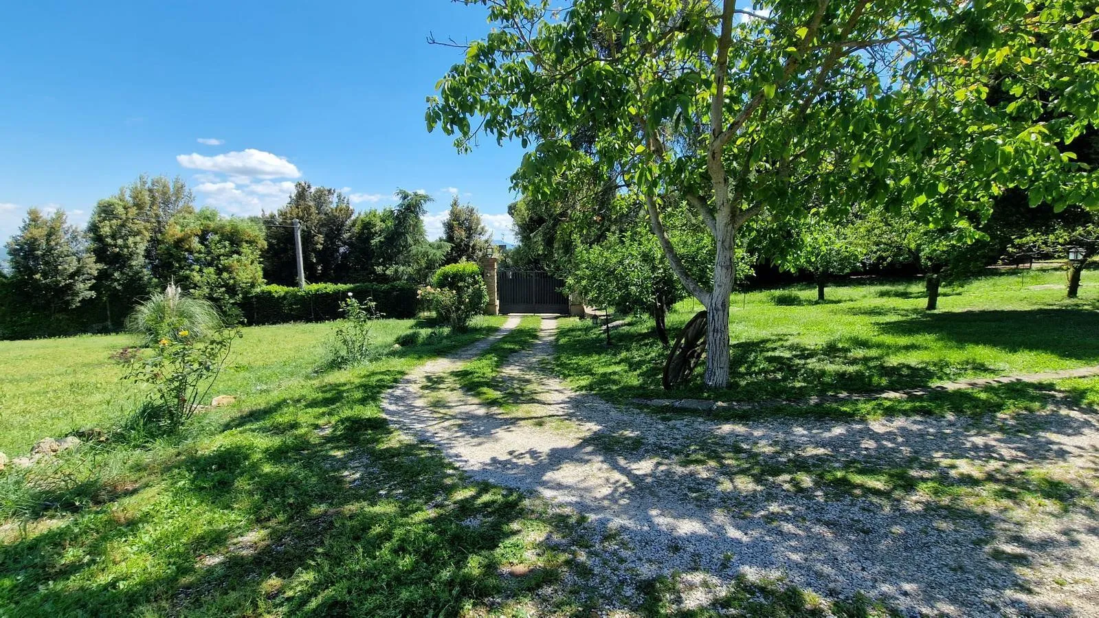 Foto 27 di 28 - Casa indipendente in vendita a Civitella d'Agliano