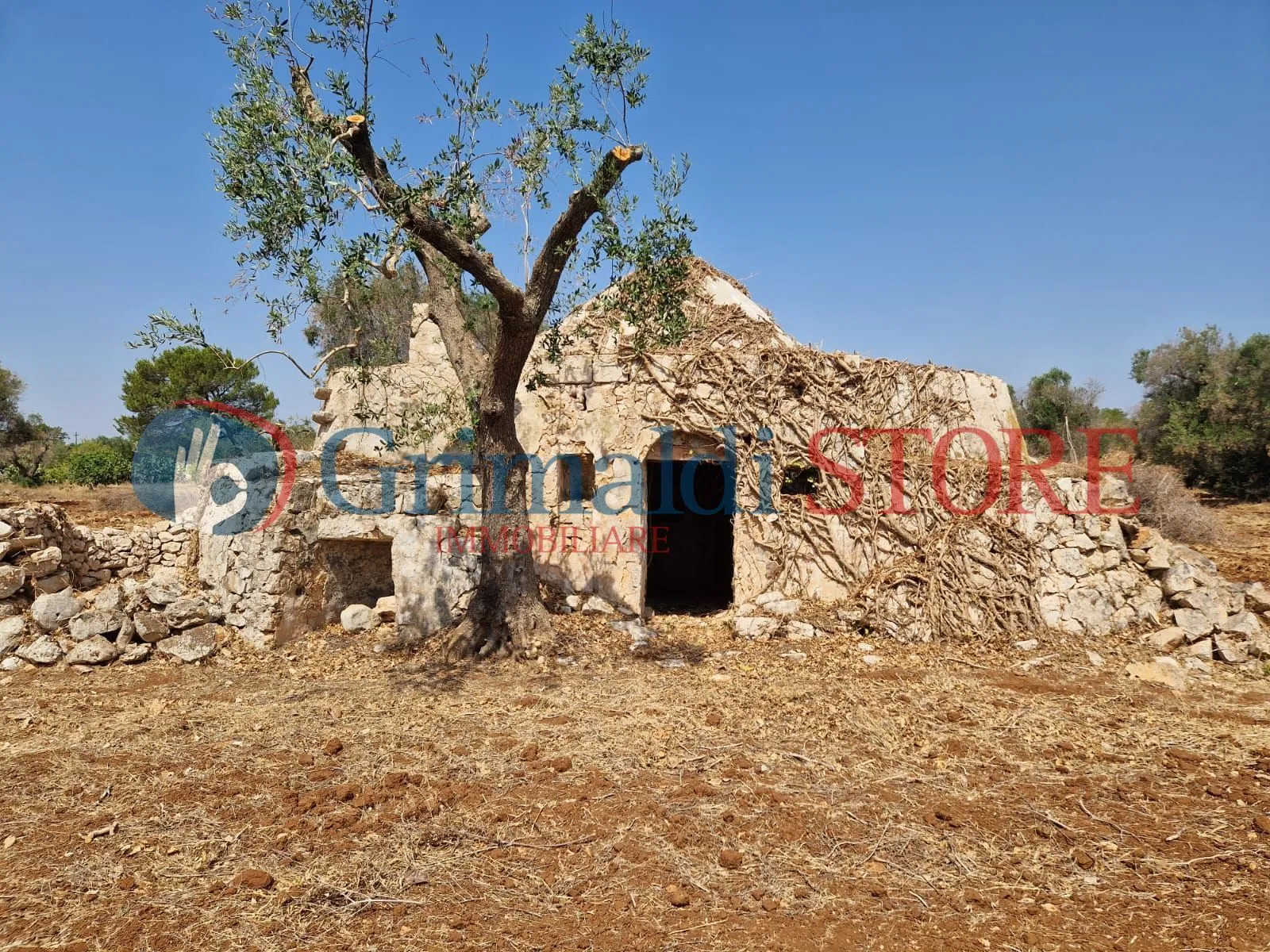 Foto 1 di 22 - Casa indipendente in vendita a San Vito dei Normanni