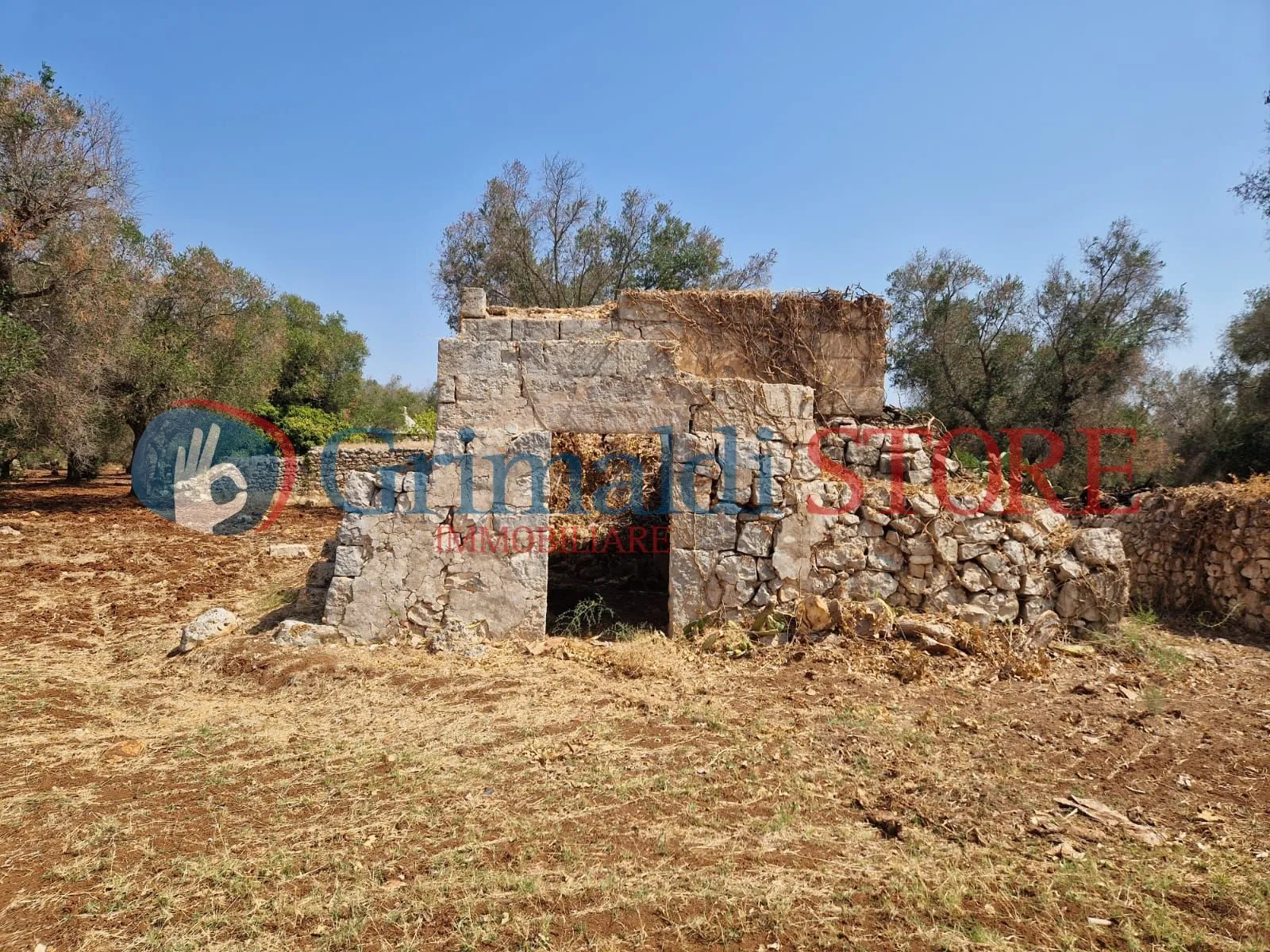 Foto 2 di 22 - Casa indipendente in vendita a San Vito dei Normanni