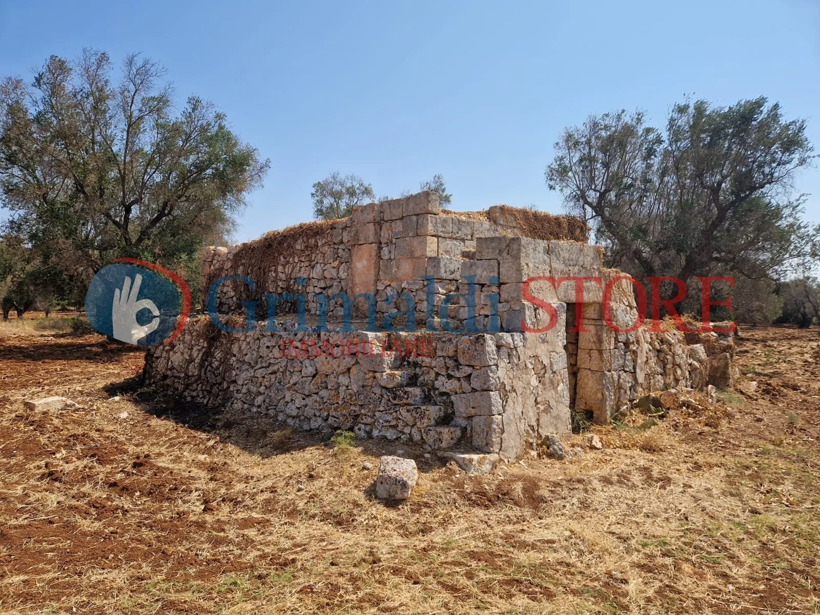 Foto 4 di 22 - Casa indipendente in vendita a San Vito dei Normanni