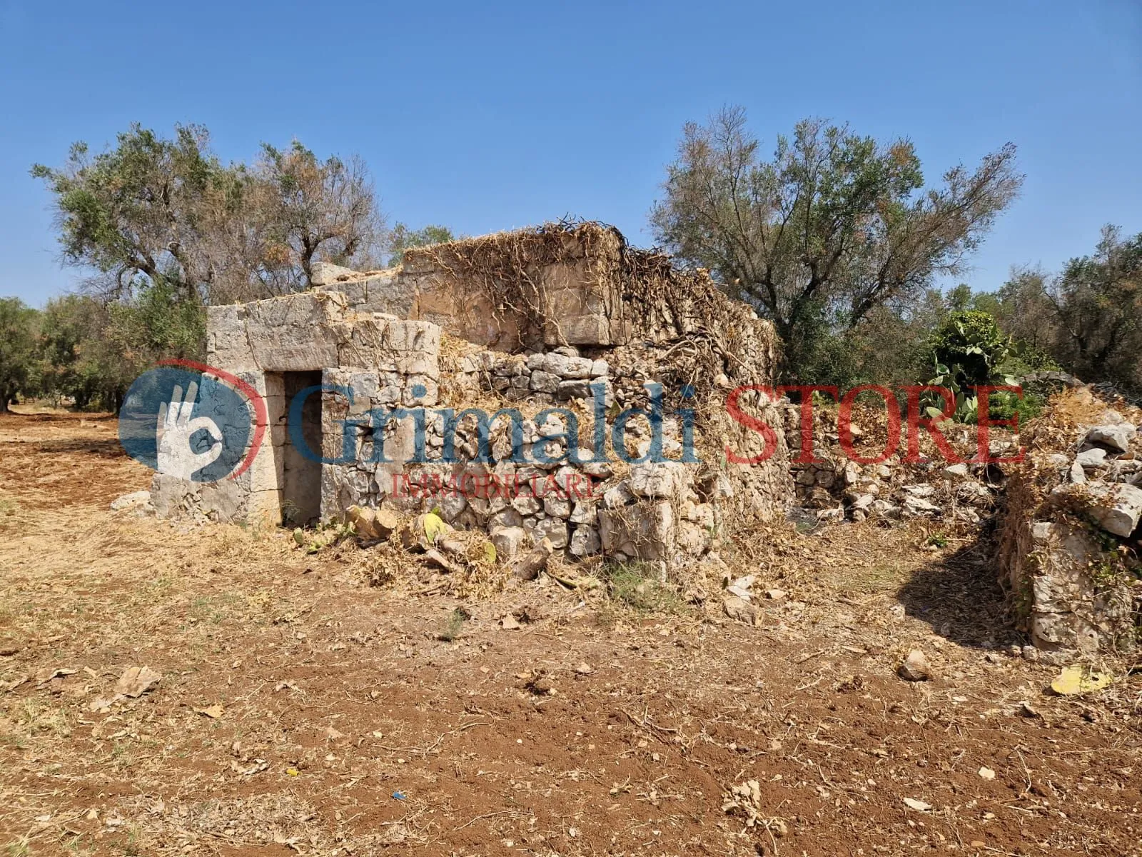 Foto 5 di 22 - Casa indipendente in vendita a San Vito dei Normanni