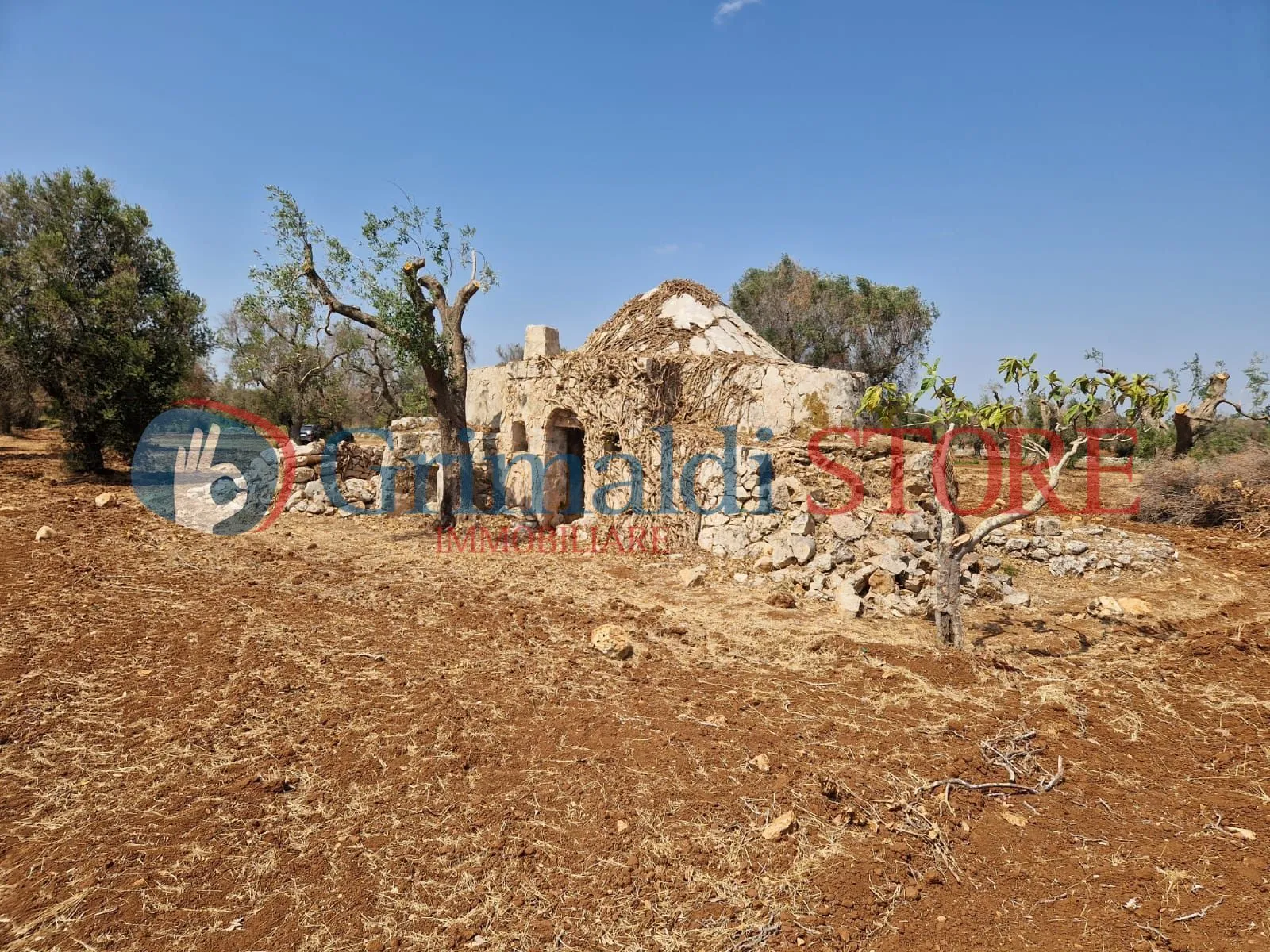 Foto 6 di 22 - Casa indipendente in vendita a San Vito dei Normanni