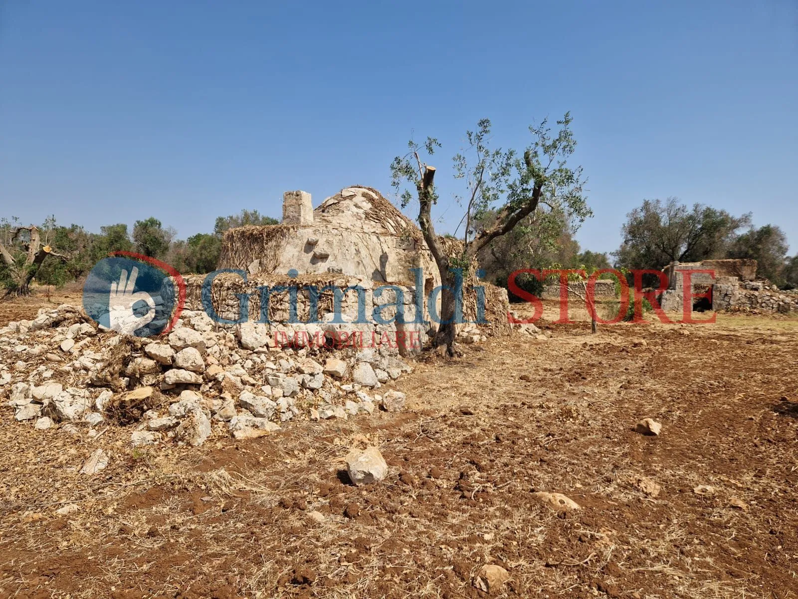 Foto 7 di 22 - Casa indipendente in vendita a San Vito dei Normanni