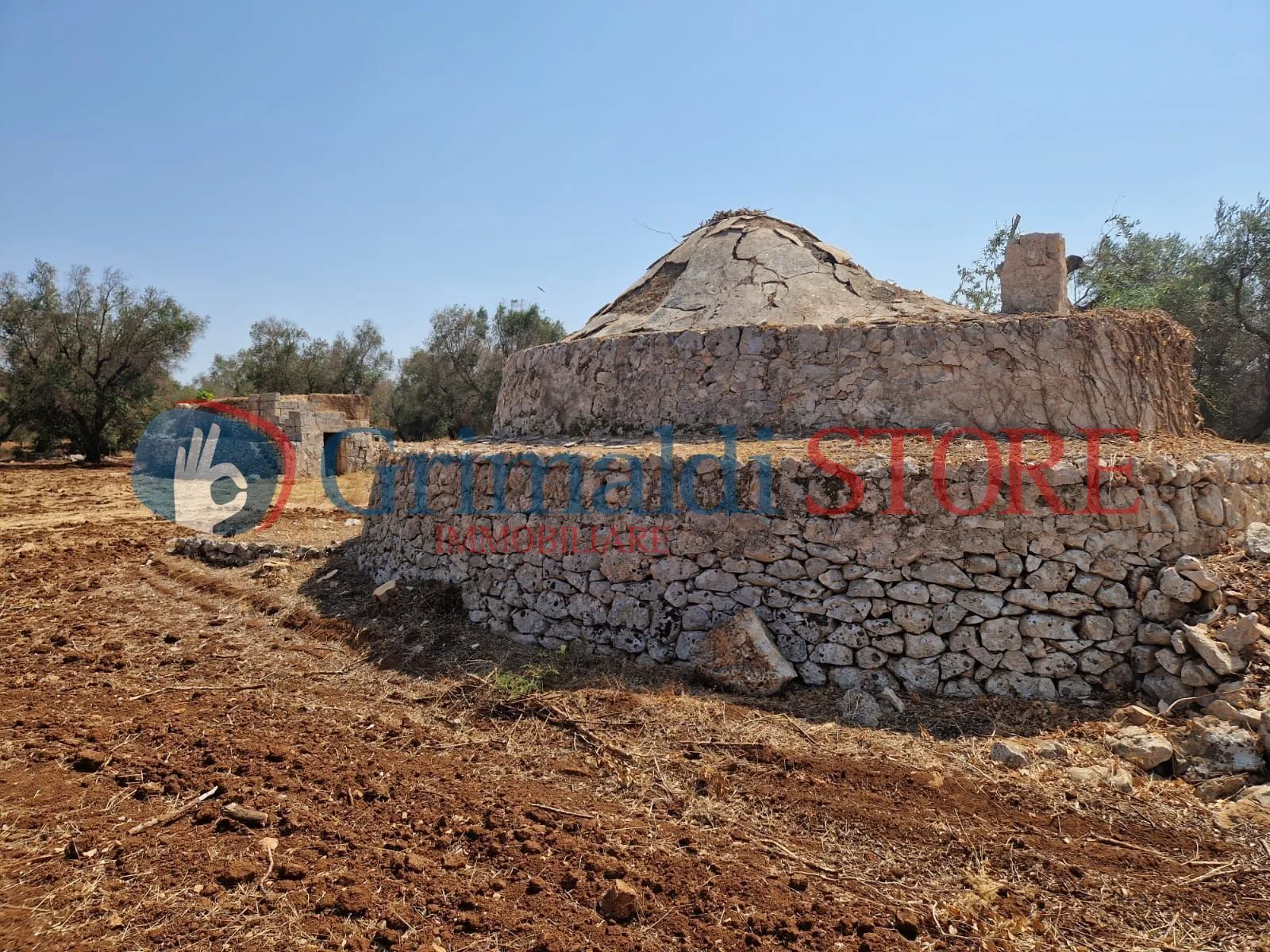 Foto 9 di 22 - Casa indipendente in vendita a San Vito dei Normanni