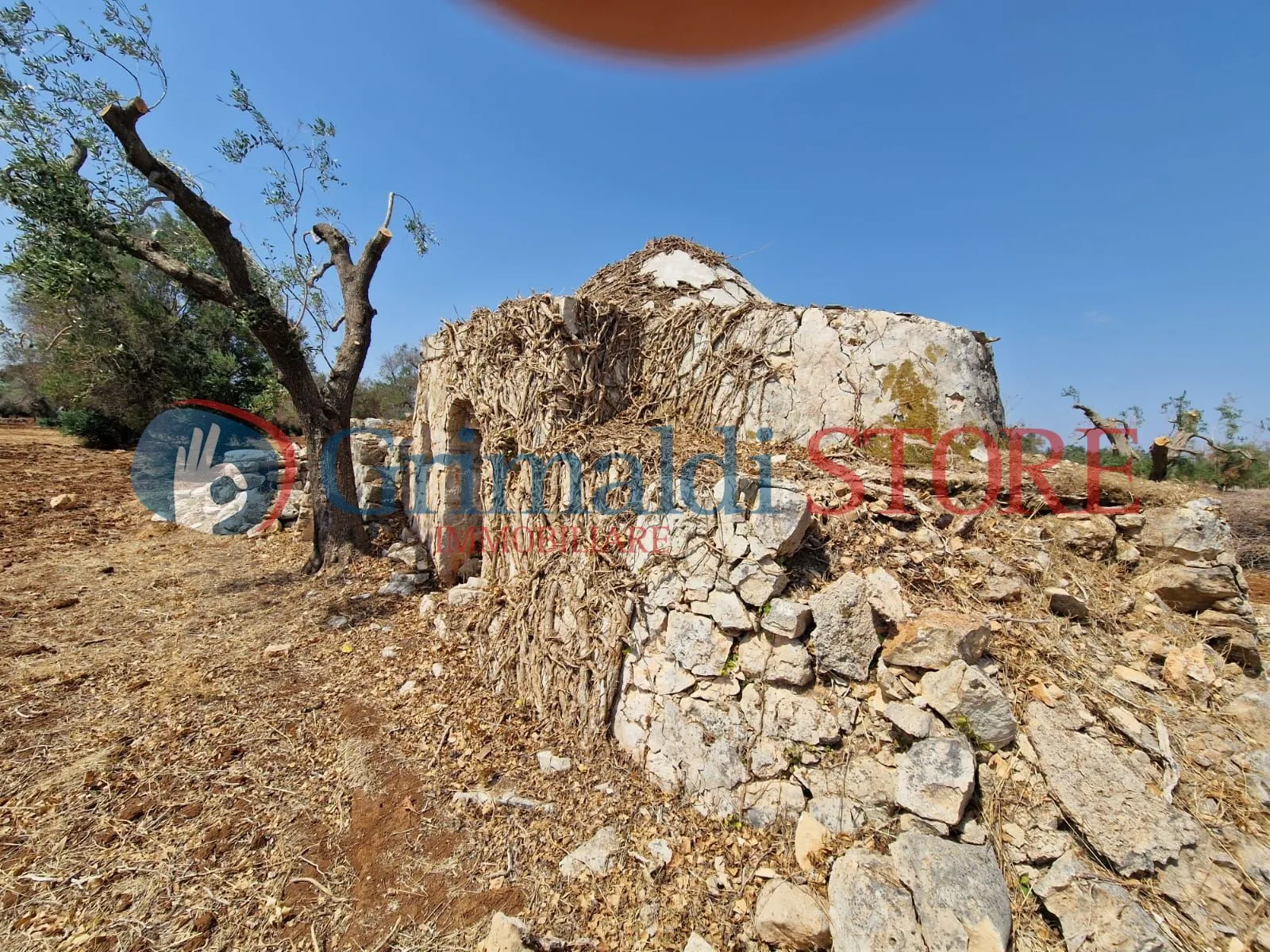Foto 13 di 22 - Casa indipendente in vendita a San Vito dei Normanni