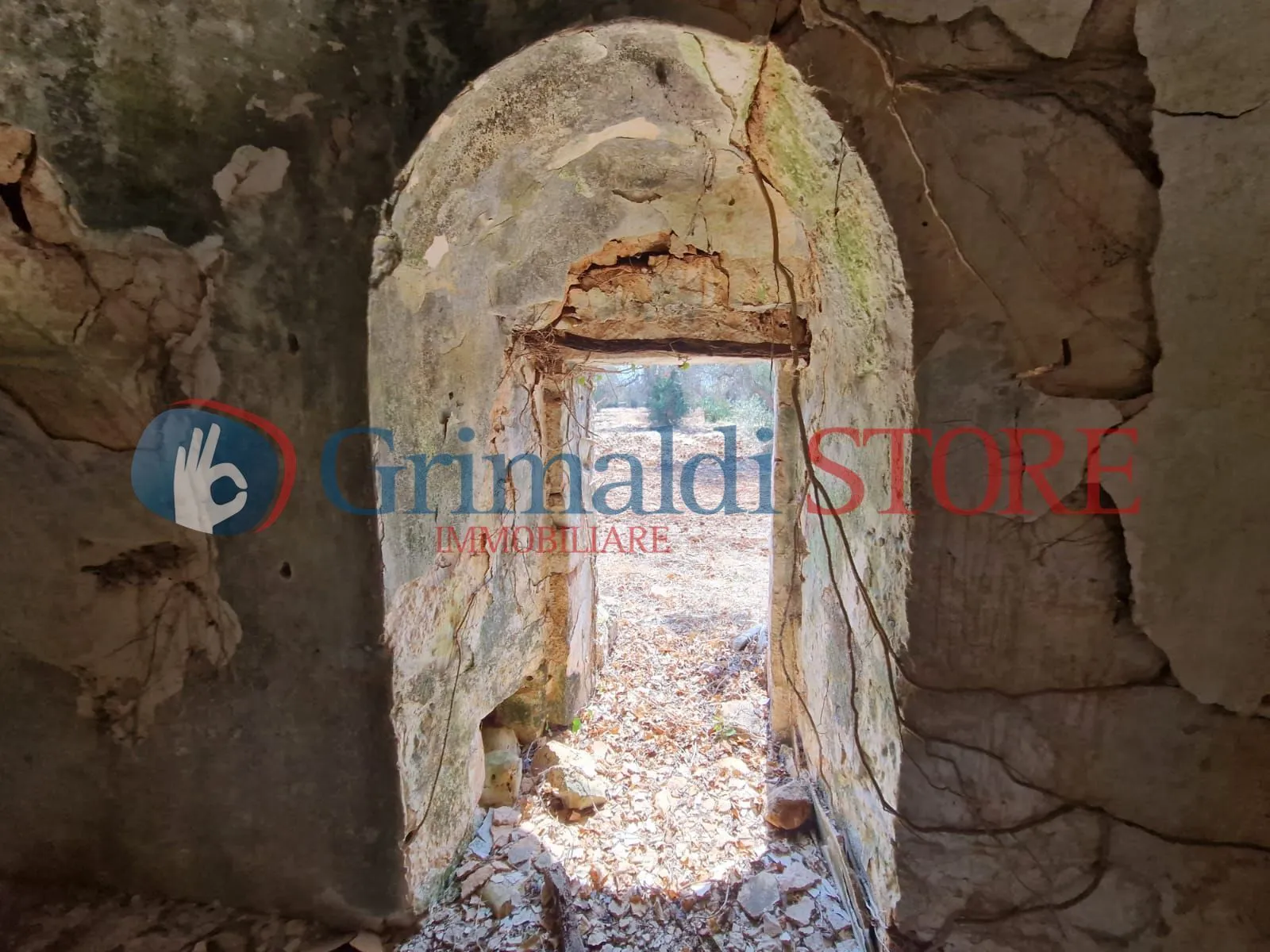 Foto 14 di 22 - Casa indipendente in vendita a San Vito dei Normanni