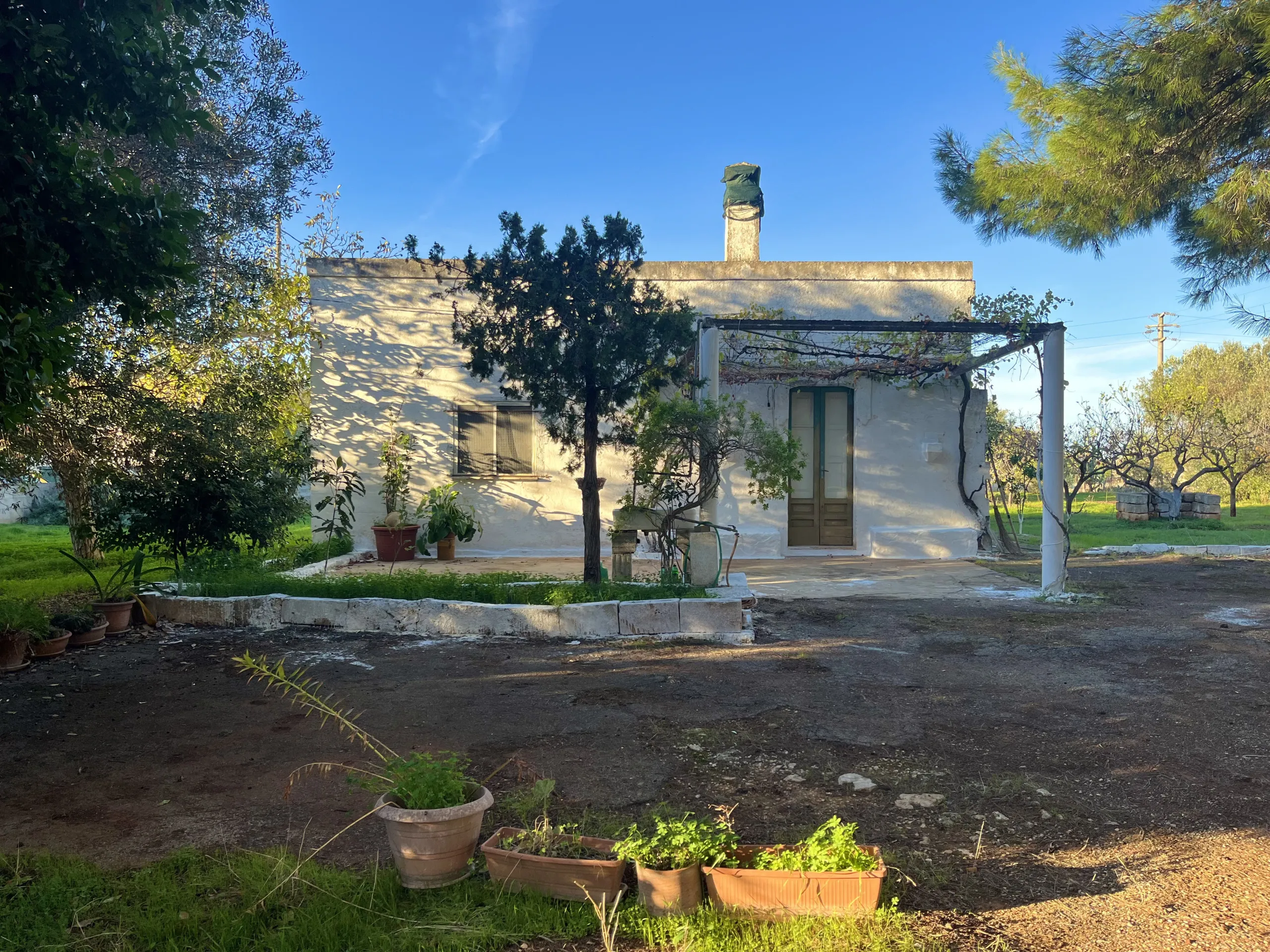 Foto 1 di 24 - Casa indipendente in vendita a San Vito dei Normanni
