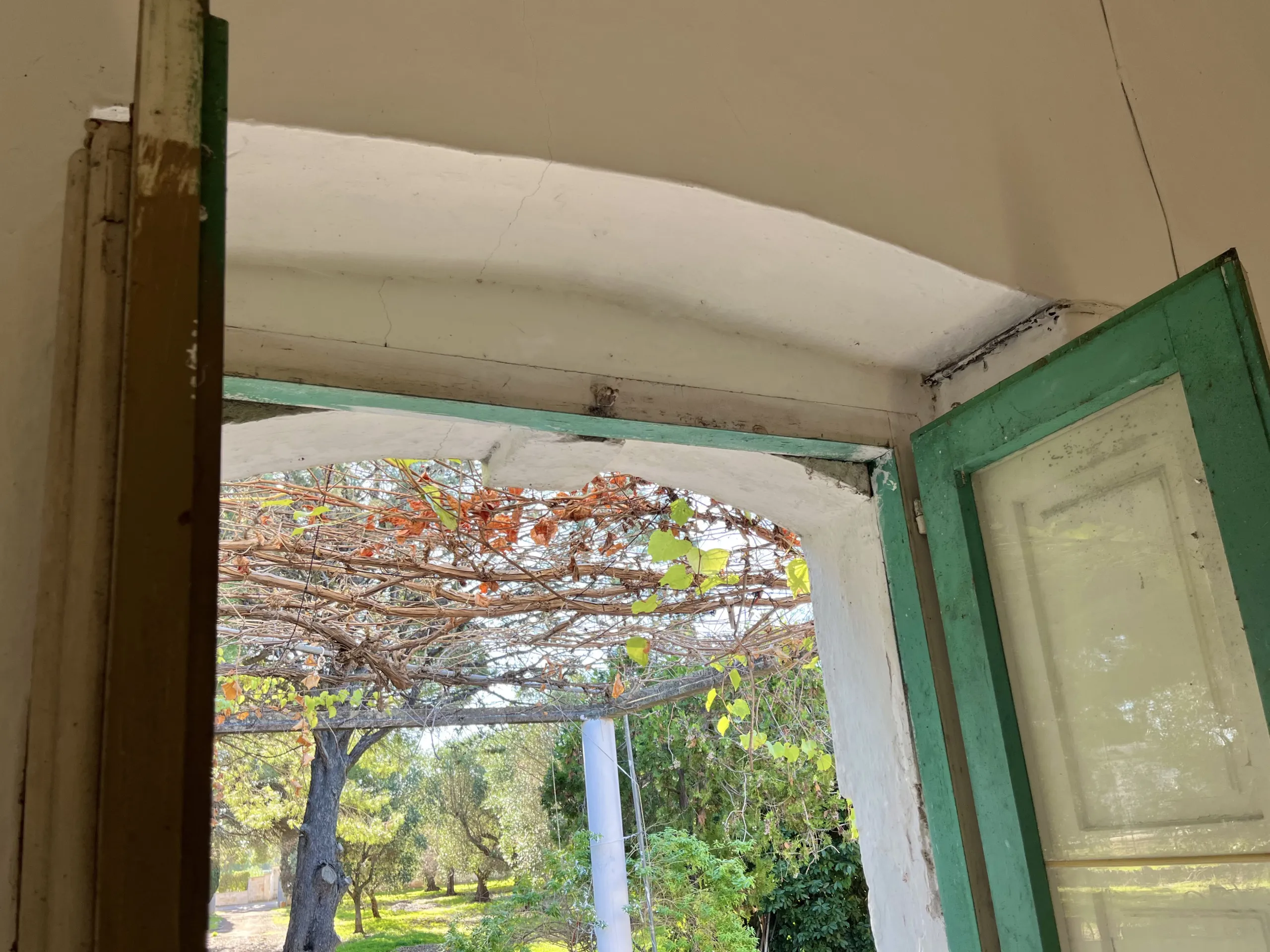 Foto 11 di 24 - Casa indipendente in vendita a San Vito dei Normanni