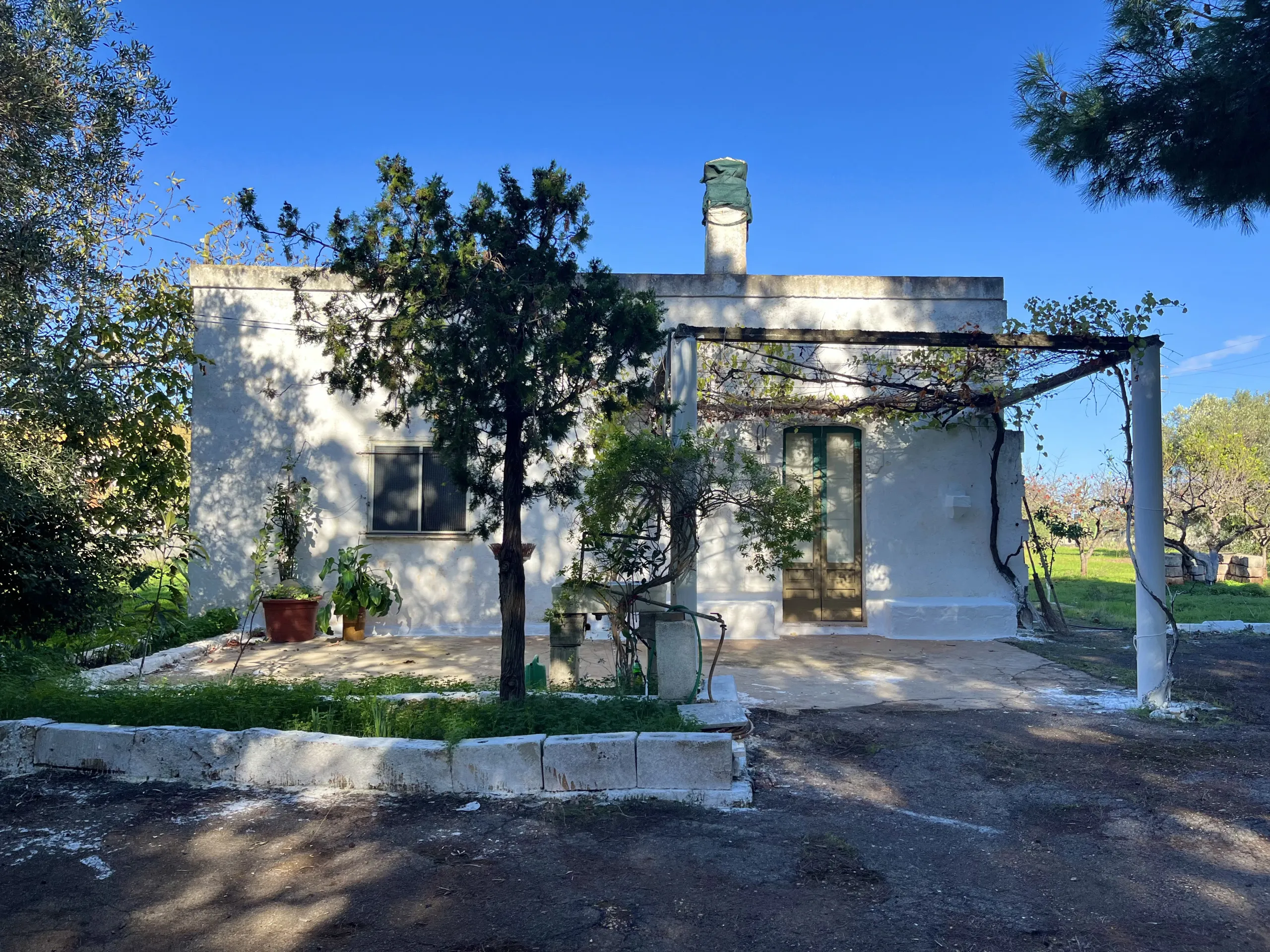 Foto 17 di 24 - Casa indipendente in vendita a San Vito dei Normanni