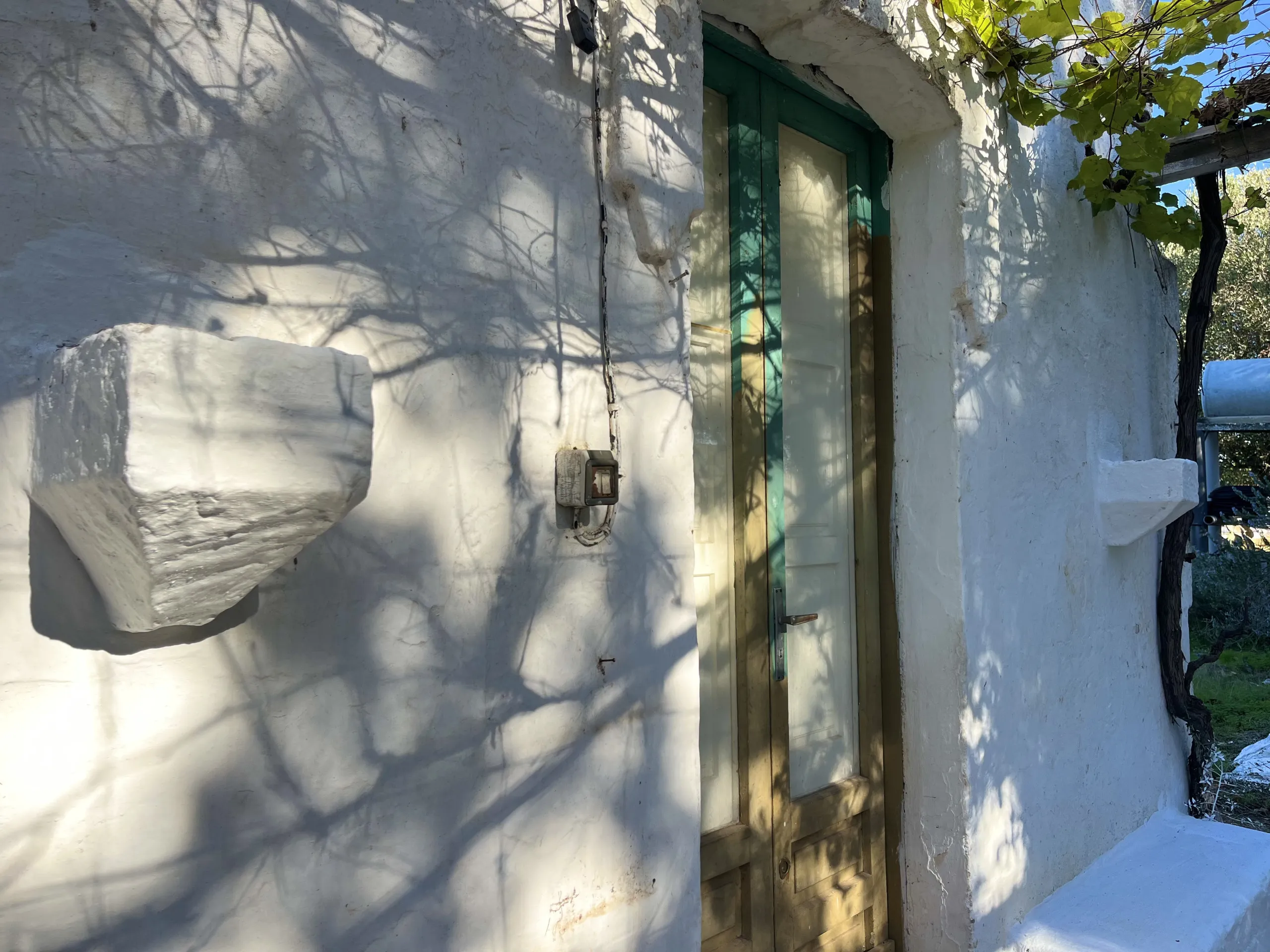 Foto 19 di 24 - Casa indipendente in vendita a San Vito dei Normanni