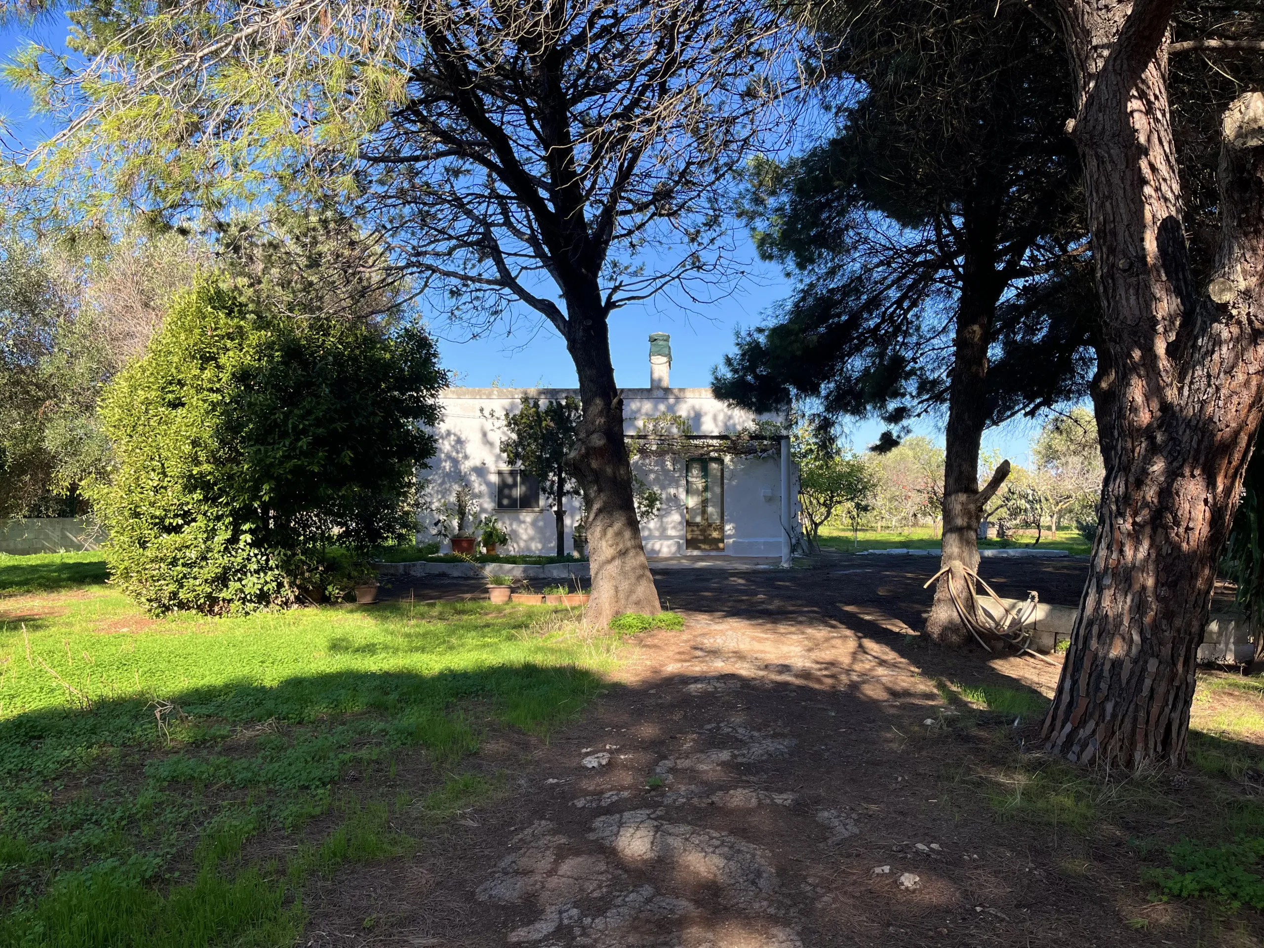 Foto 20 di 24 - Casa indipendente in vendita a San Vito dei Normanni