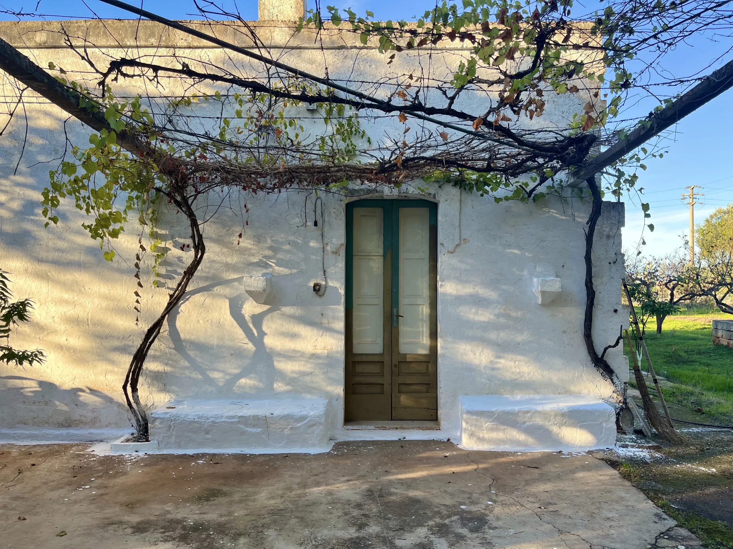 Foto 21 di 24 - Casa indipendente in vendita a San Vito dei Normanni