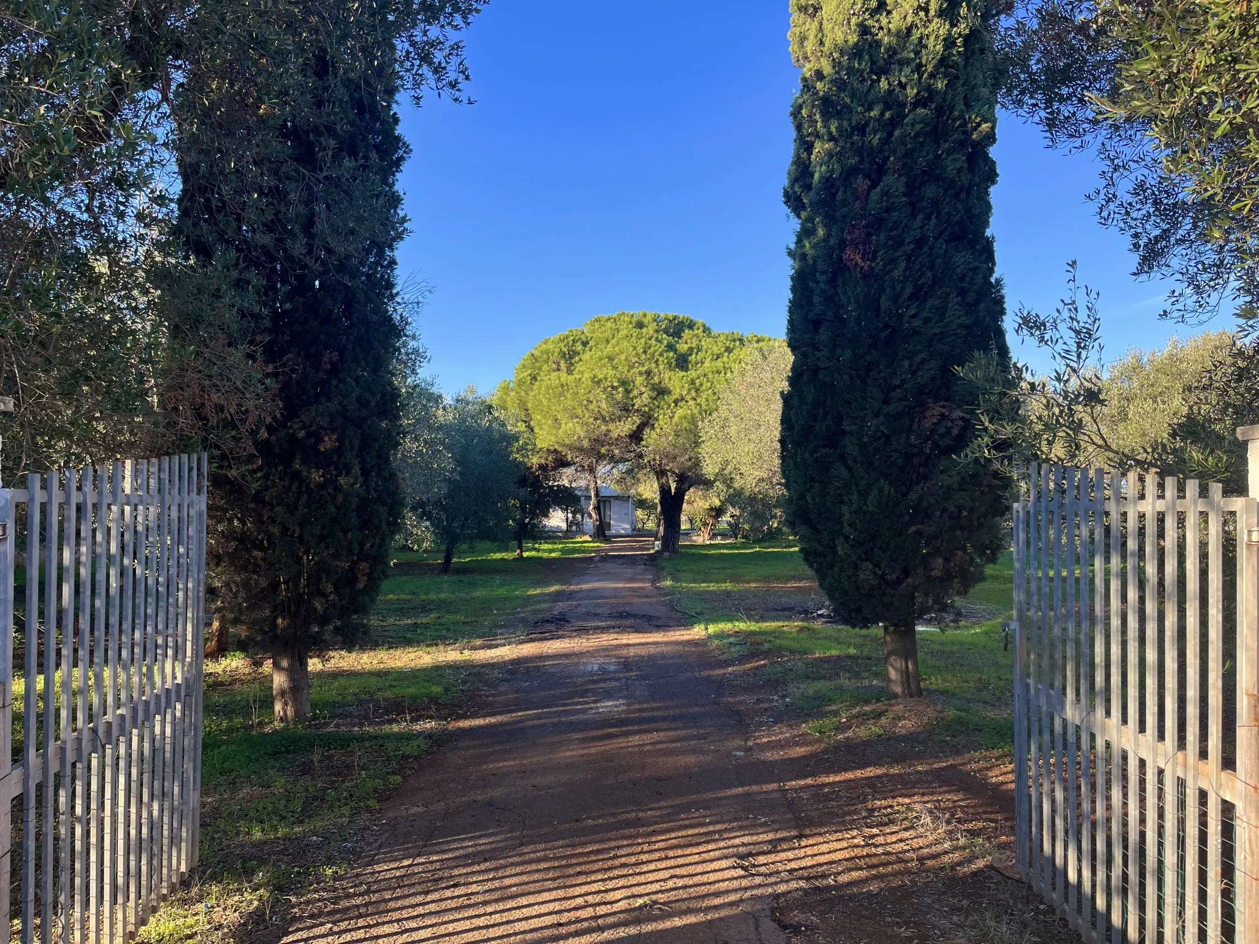 Foto 22 di 24 - Casa indipendente in vendita a San Vito dei Normanni