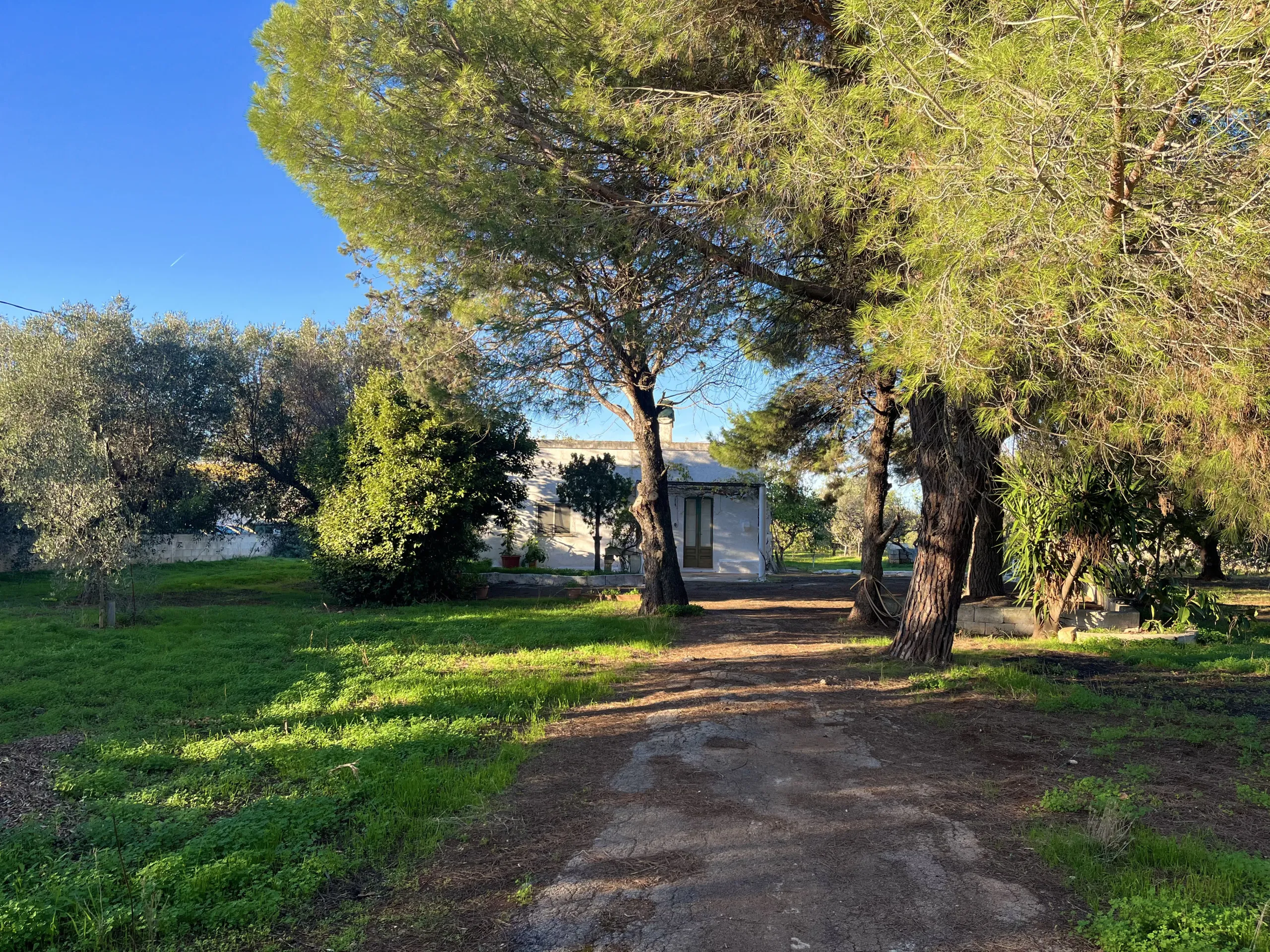Foto 23 di 24 - Casa indipendente in vendita a San Vito dei Normanni