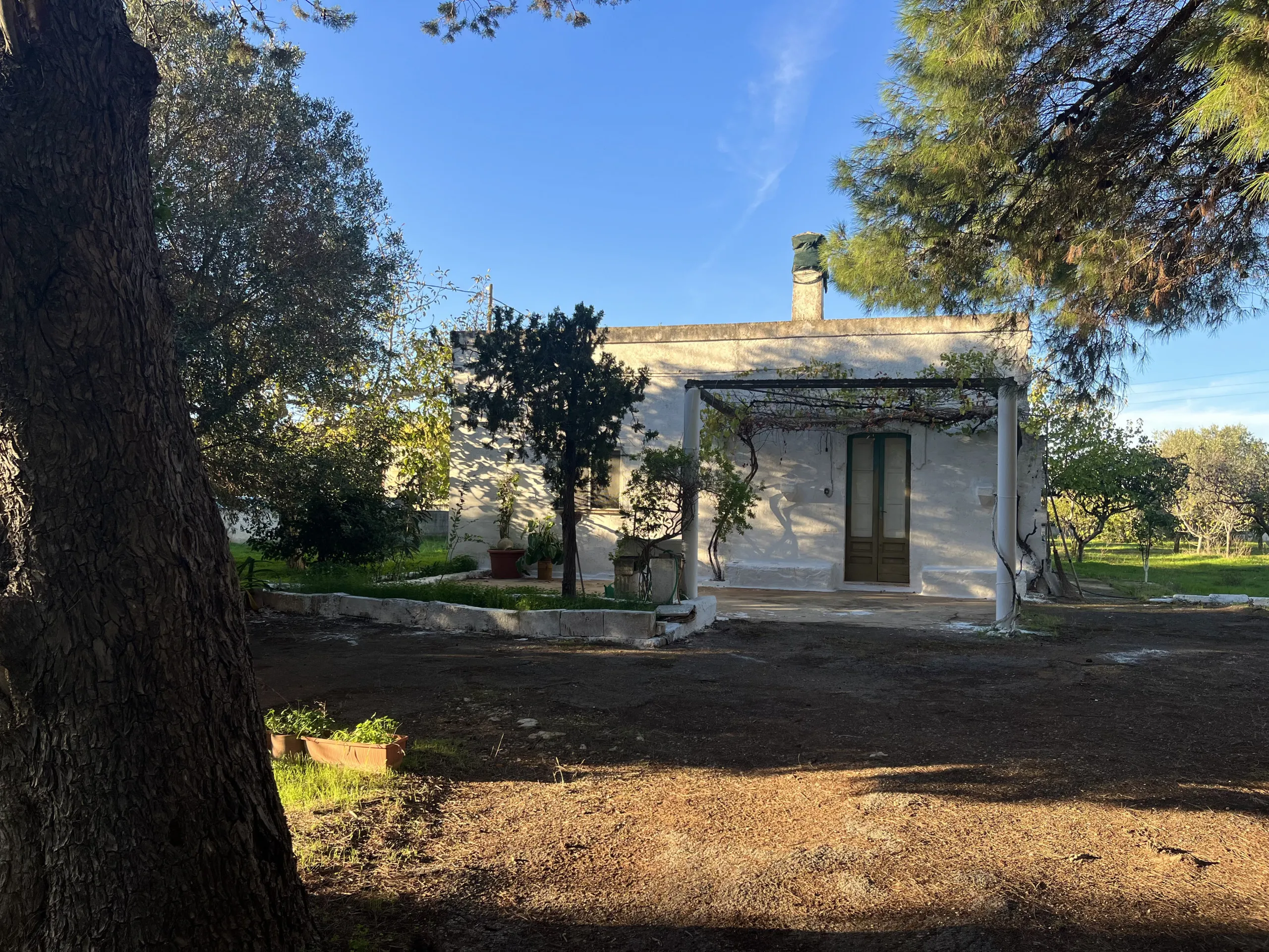 Foto 24 di 24 - Casa indipendente in vendita a San Vito dei Normanni