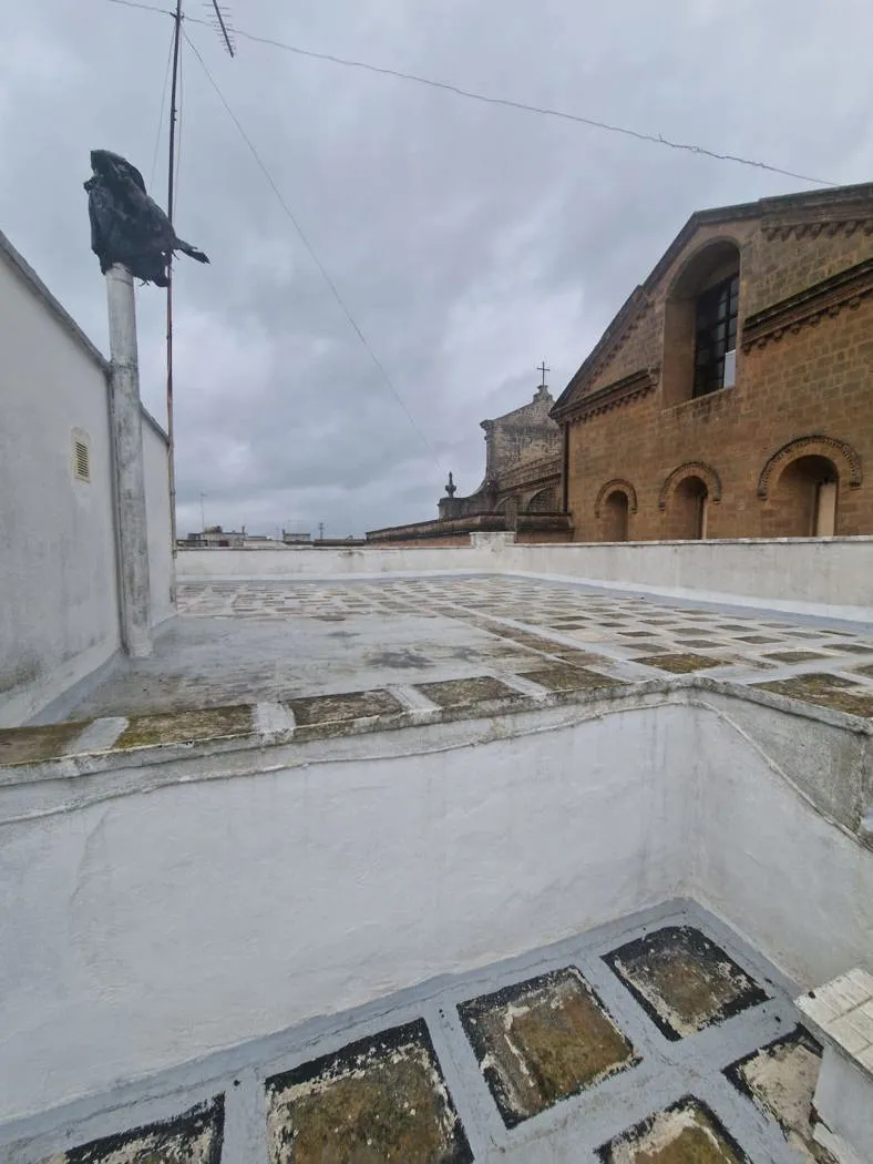Foto 33 di 46 - Casa indipendente in vendita a San Vito dei Normanni