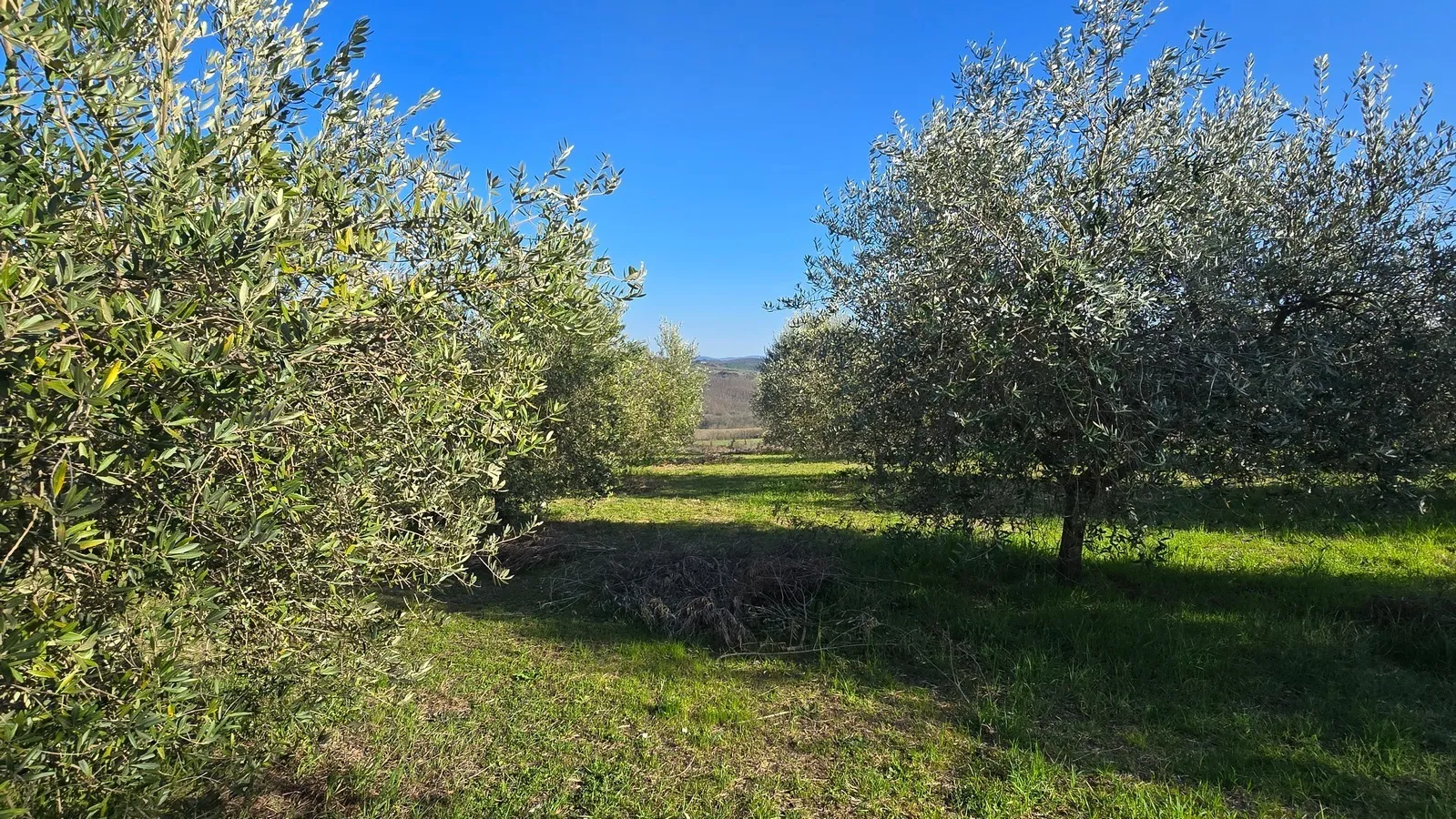 Foto 16 di 28 - Casa indipendente in vendita a Todi