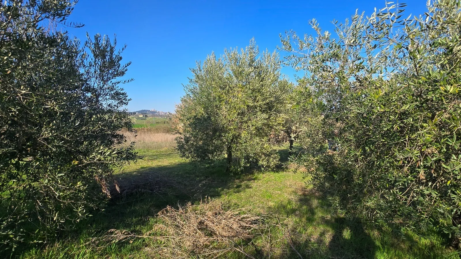 Foto 17 di 28 - Casa indipendente in vendita a Todi