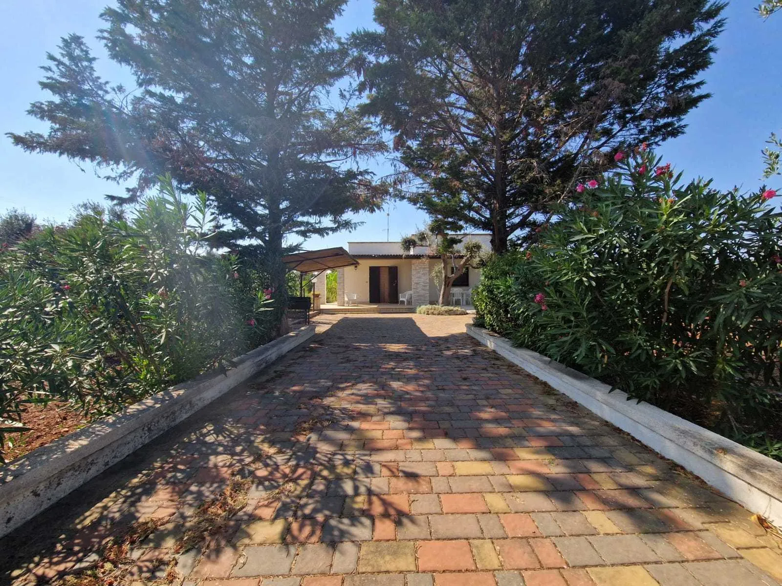 Foto 12 di 37 - Casa indipendente in vendita a San Vito dei Normanni