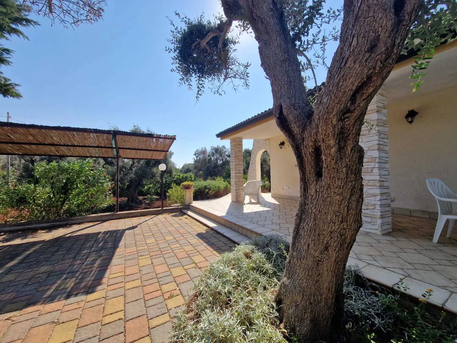 Foto 16 di 37 - Casa indipendente in vendita a San Vito dei Normanni