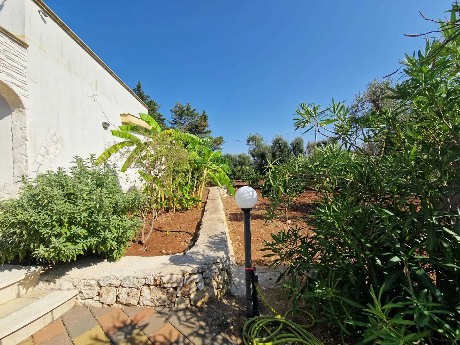Foto 18 di 37 - Casa indipendente in vendita a San Vito dei Normanni