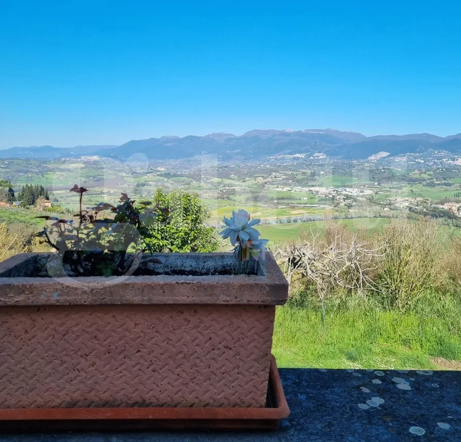Foto 4 di 21 - Villa a schiera in vendita a Torrita Tiberina