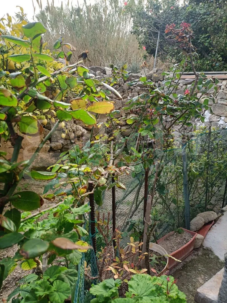 Foto 4 di 22 - Appartamento in vendita a Favignana