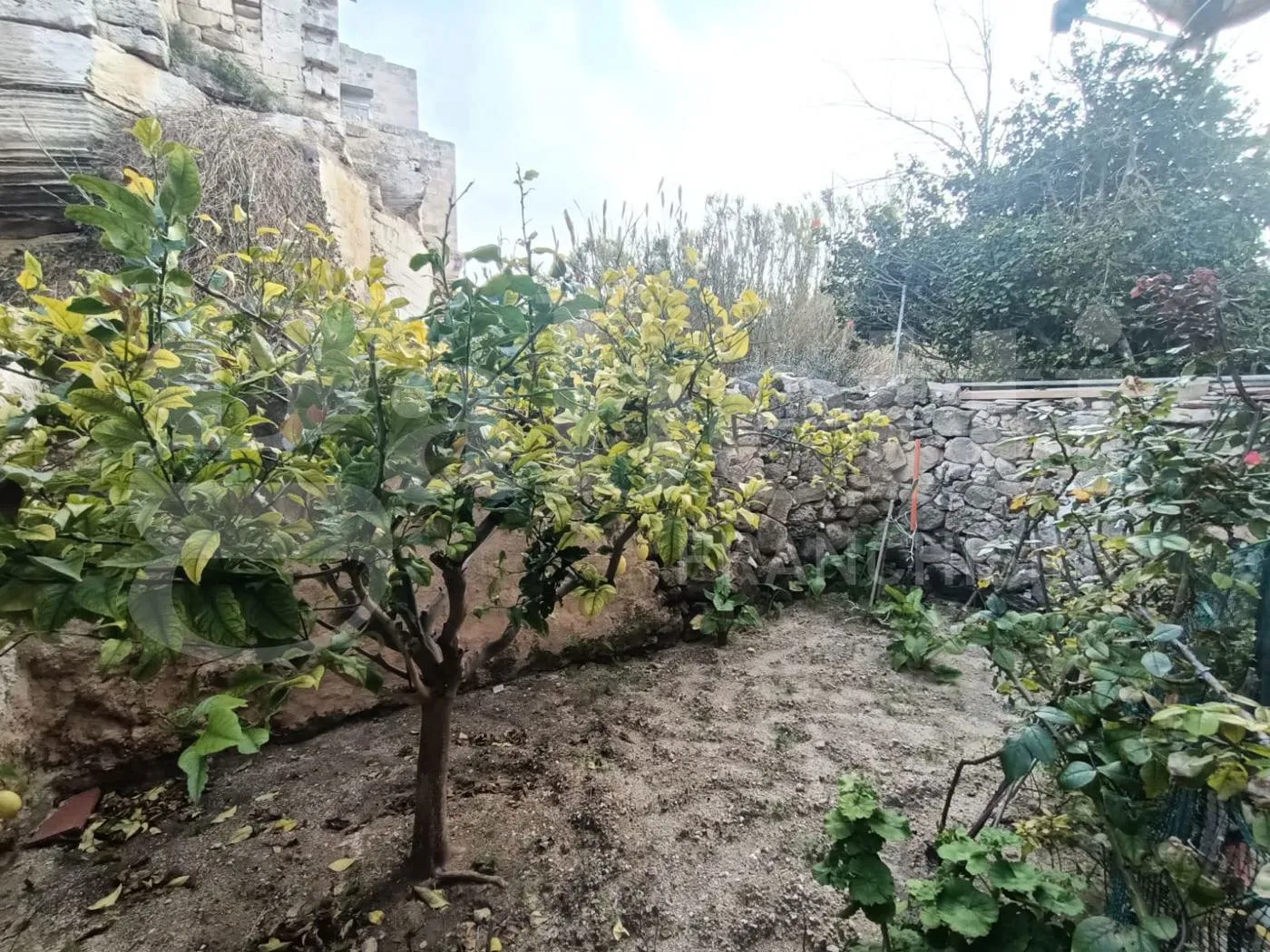 Foto 21 di 22 - Appartamento in vendita a Favignana