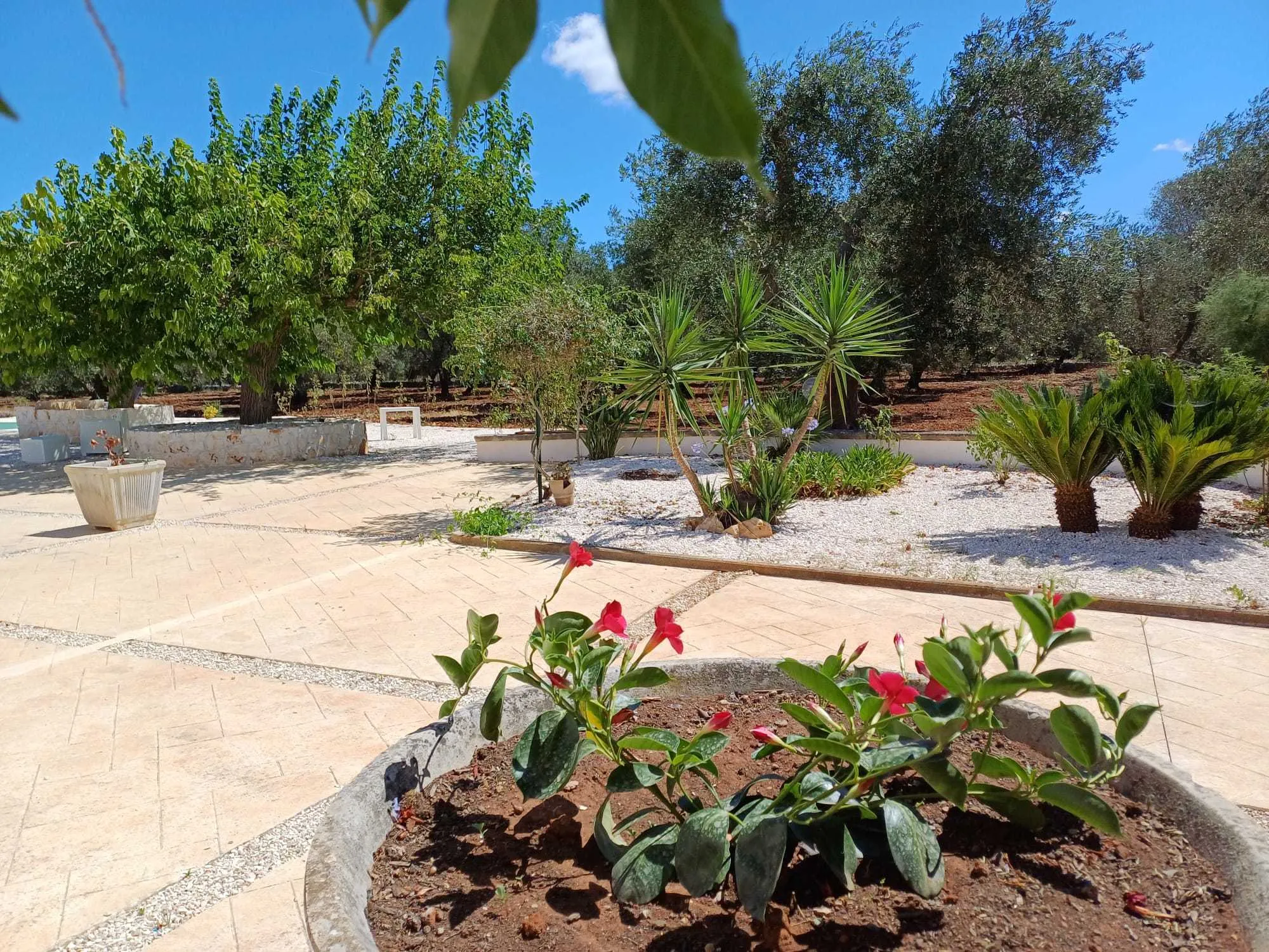 Foto 9 di 17 - Casa indipendente in vendita a Ostuni