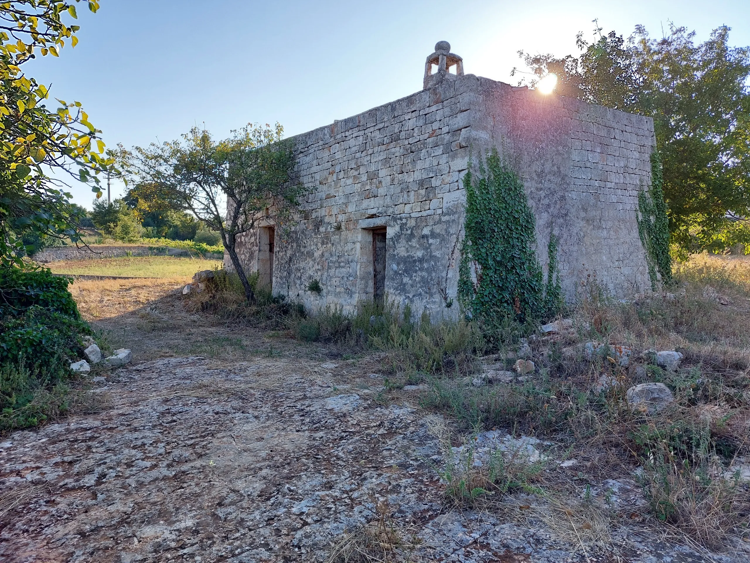 Foto 1 di 58 - Casa indipendente in vendita a Cisternino