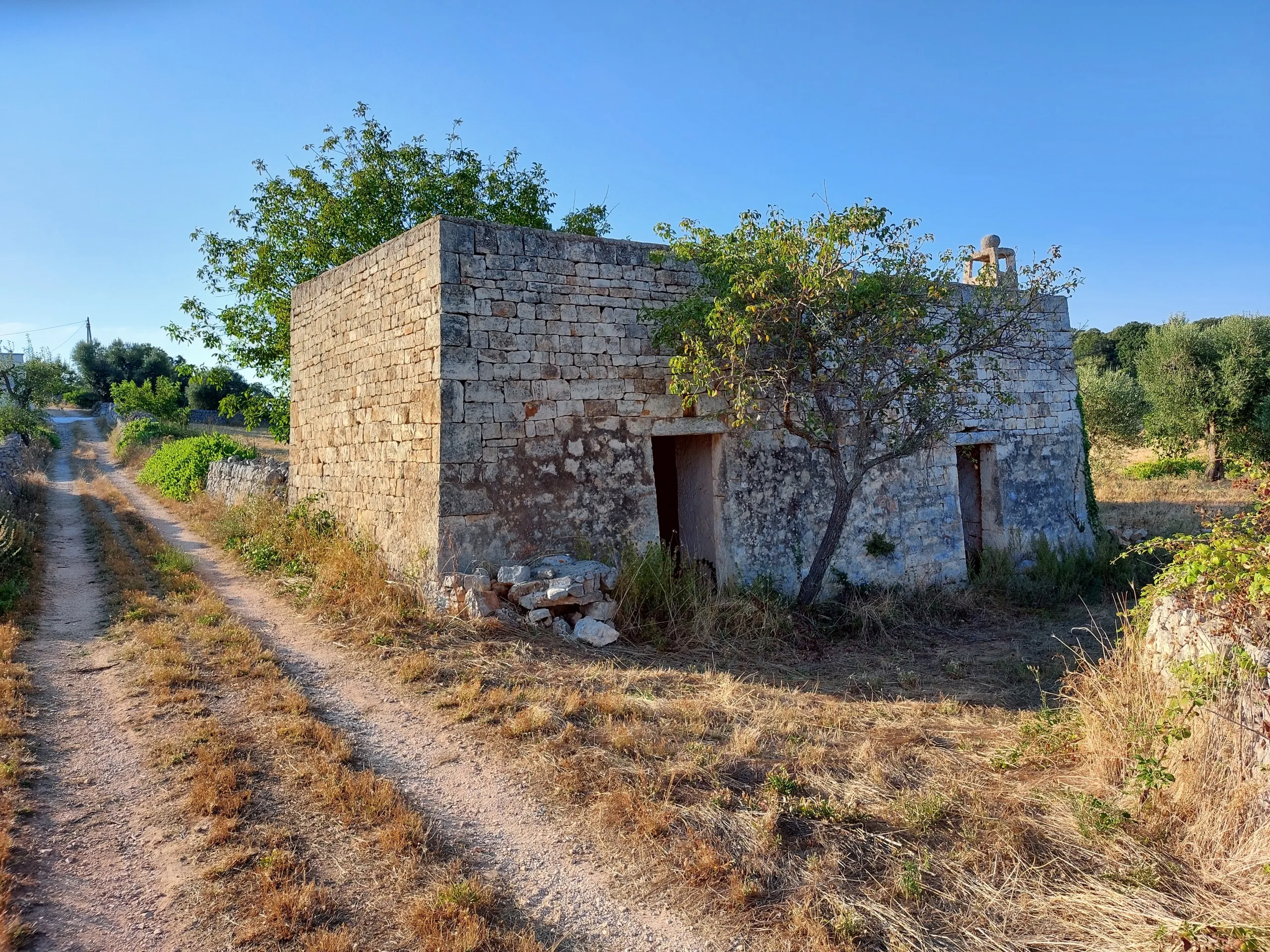 Foto 20 di 58 - Casa indipendente in vendita a Cisternino