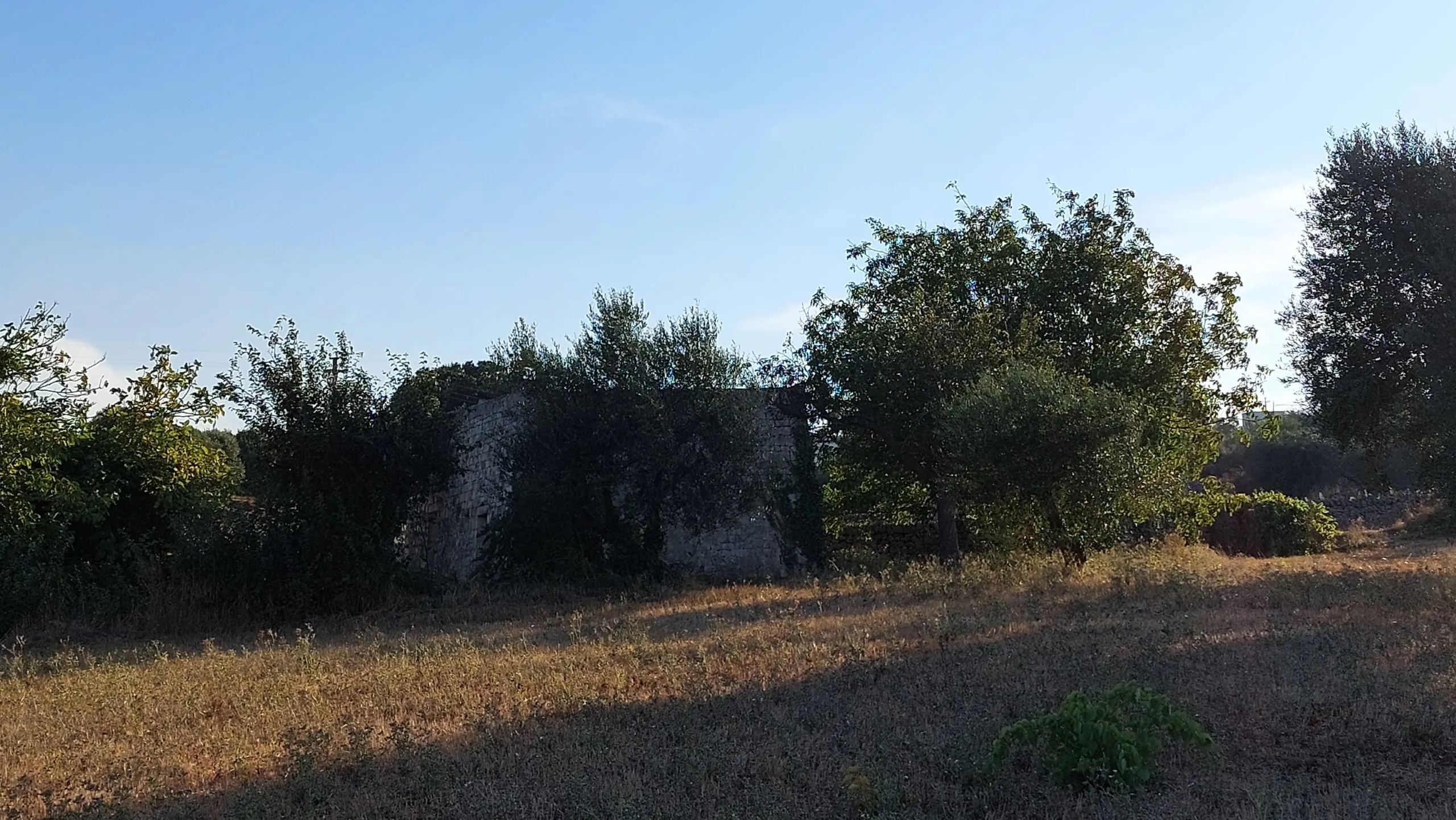 Foto 47 di 58 - Casa indipendente in vendita a Cisternino