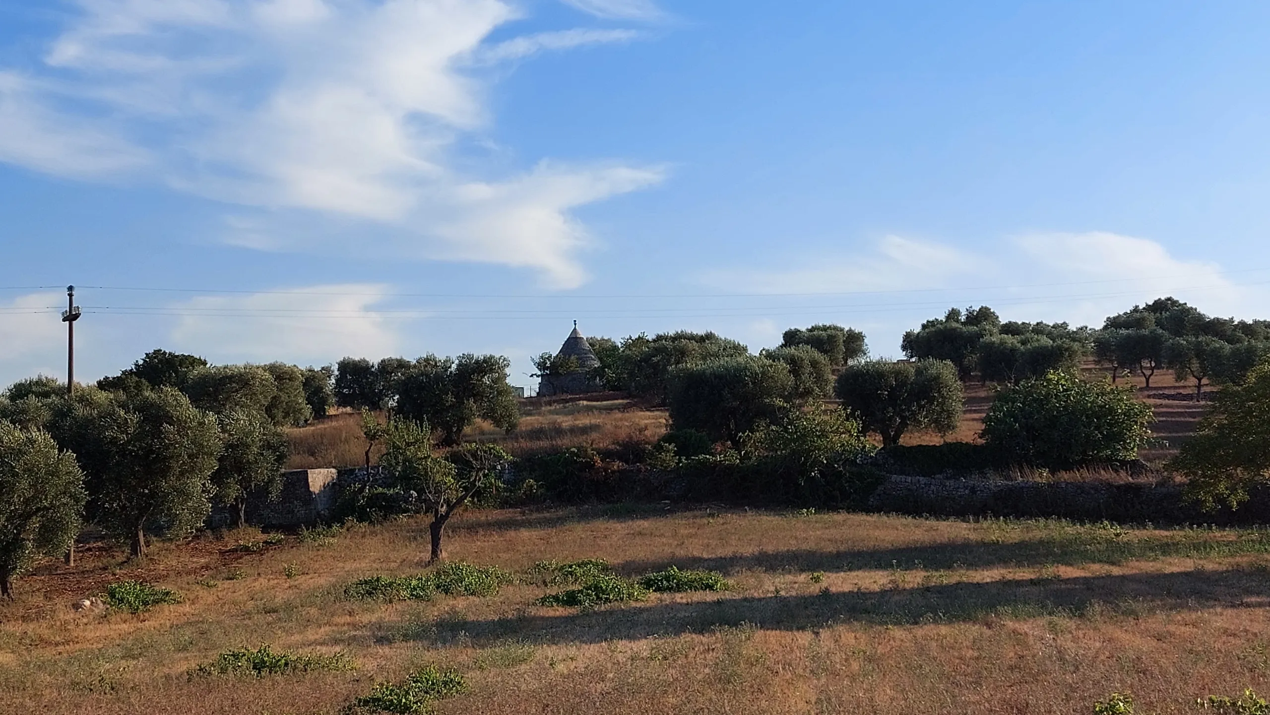Foto 48 di 58 - Casa indipendente in vendita a Cisternino