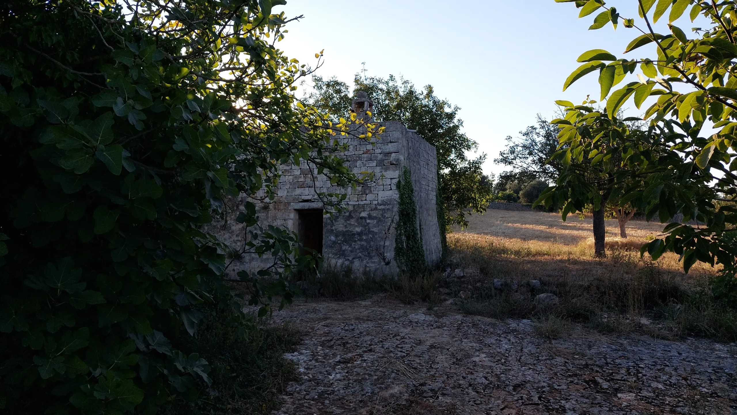 Foto 51 di 58 - Casa indipendente in vendita a Cisternino