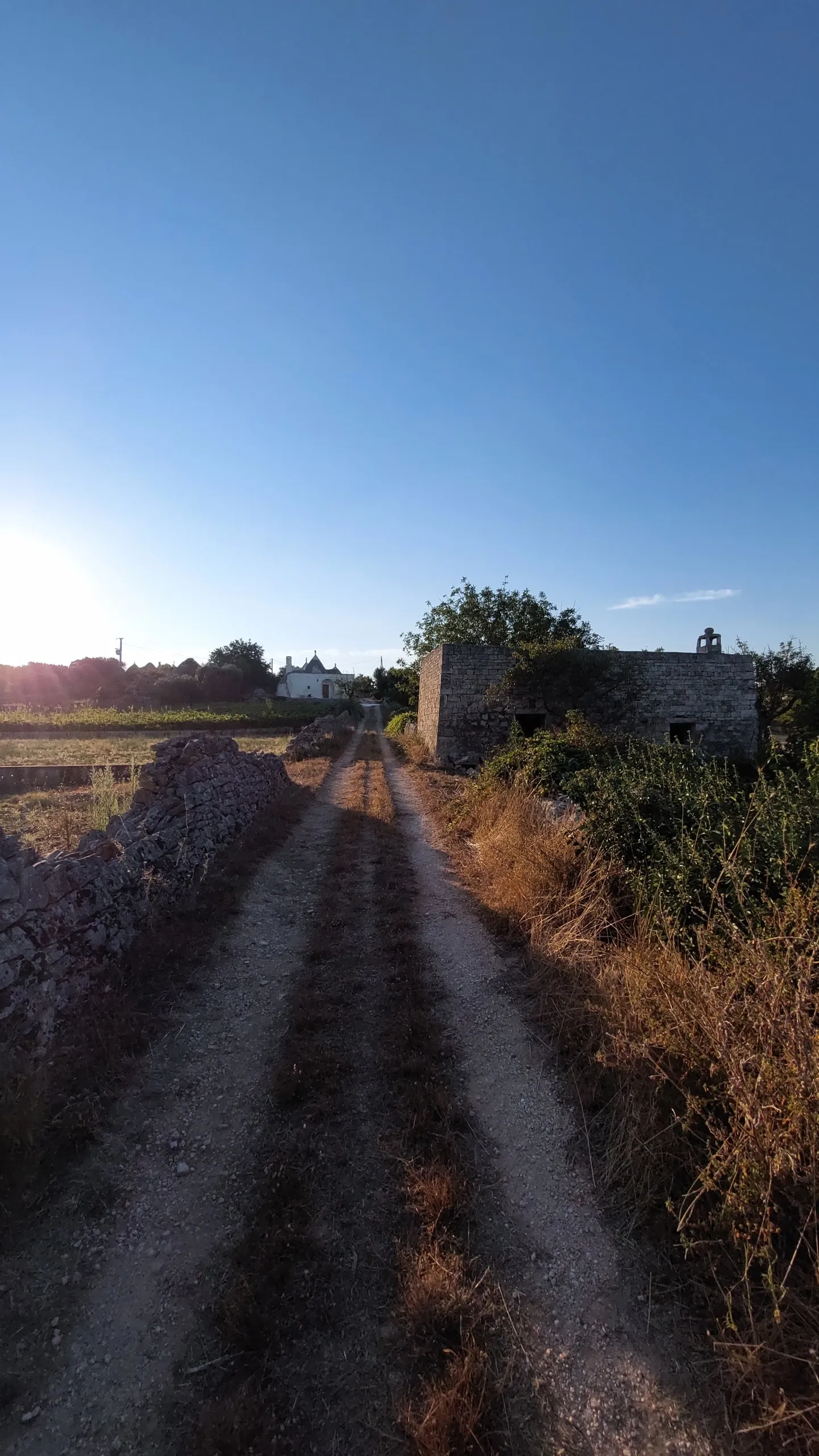 Foto 56 di 58 - Casa indipendente in vendita a Cisternino