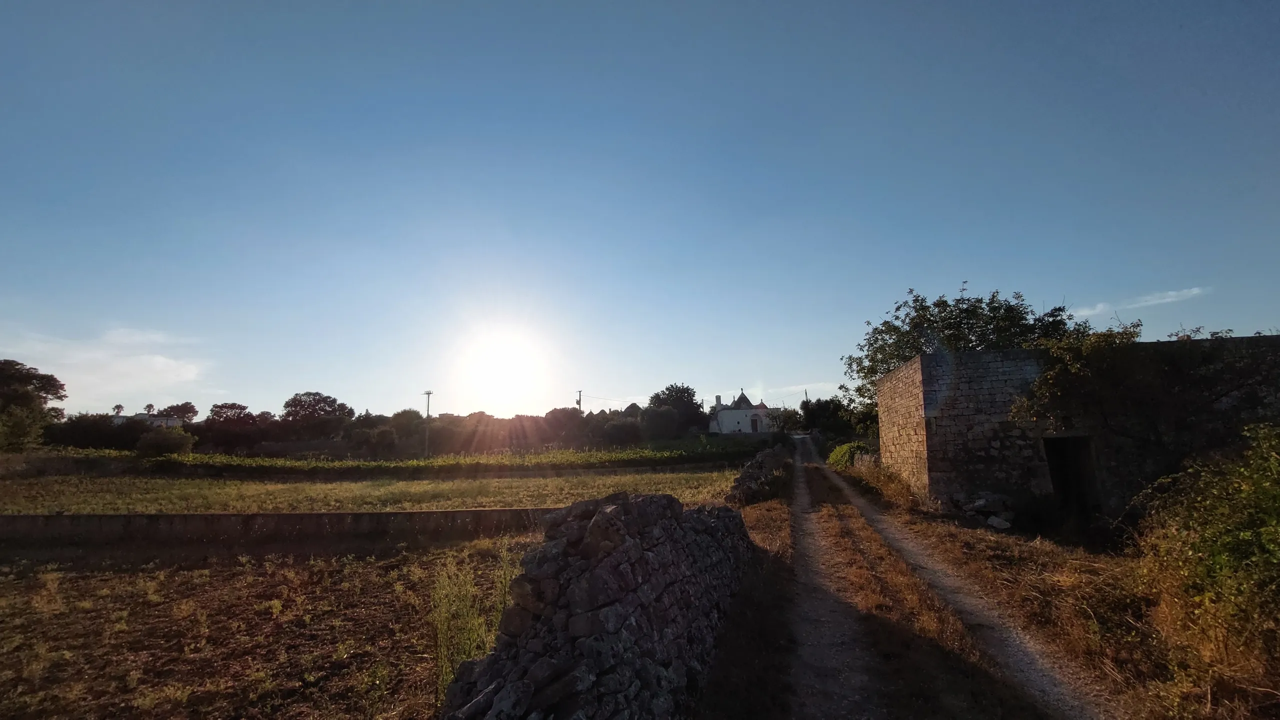 Foto 58 di 58 - Casa indipendente in vendita a Cisternino