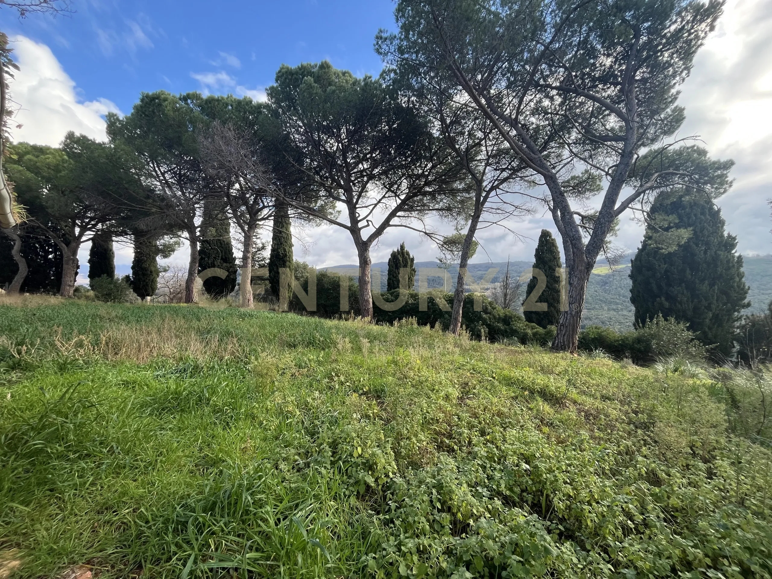 Foto 4 di 27 - Appartamento in vendita a Scansano