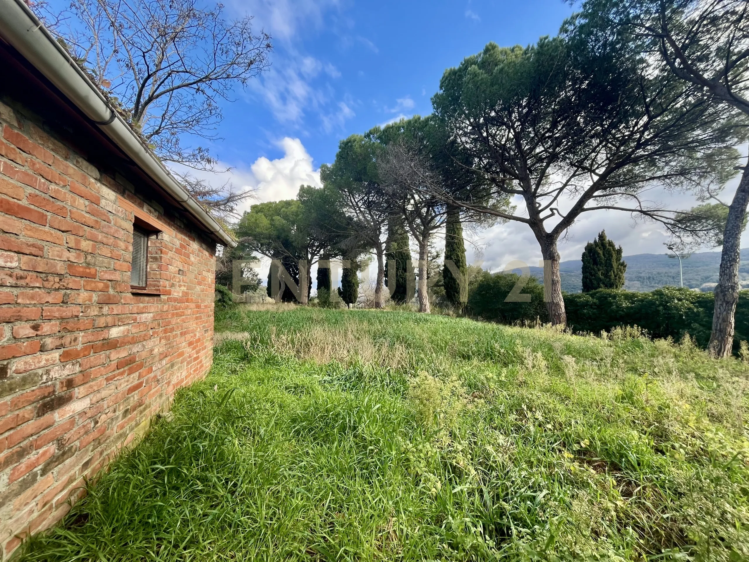 Foto 5 di 27 - Appartamento in vendita a Scansano