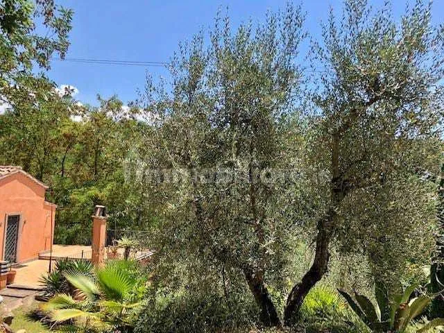 Foto 41 di 59 - Casa indipendente in vendita a Baschi