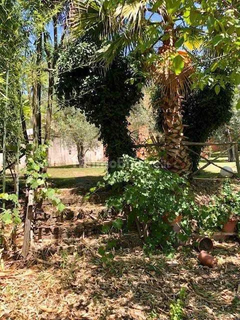 Foto 45 di 59 - Casa indipendente in vendita a Baschi