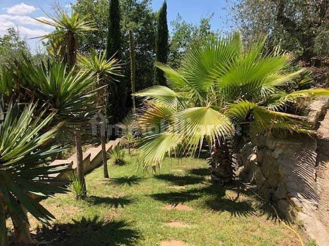 Foto 47 di 59 - Casa indipendente in vendita a Baschi