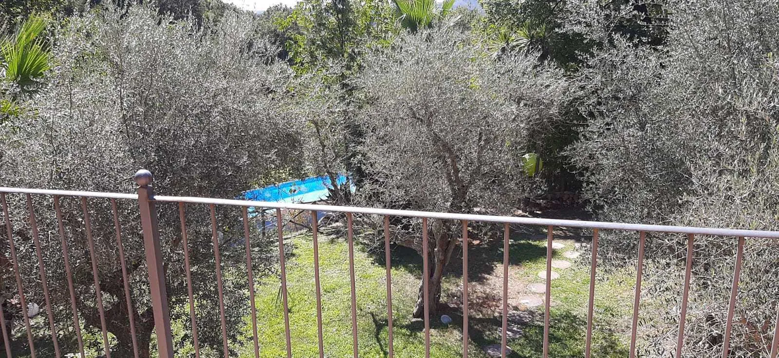 Foto 55 di 59 - Casa indipendente in vendita a Baschi