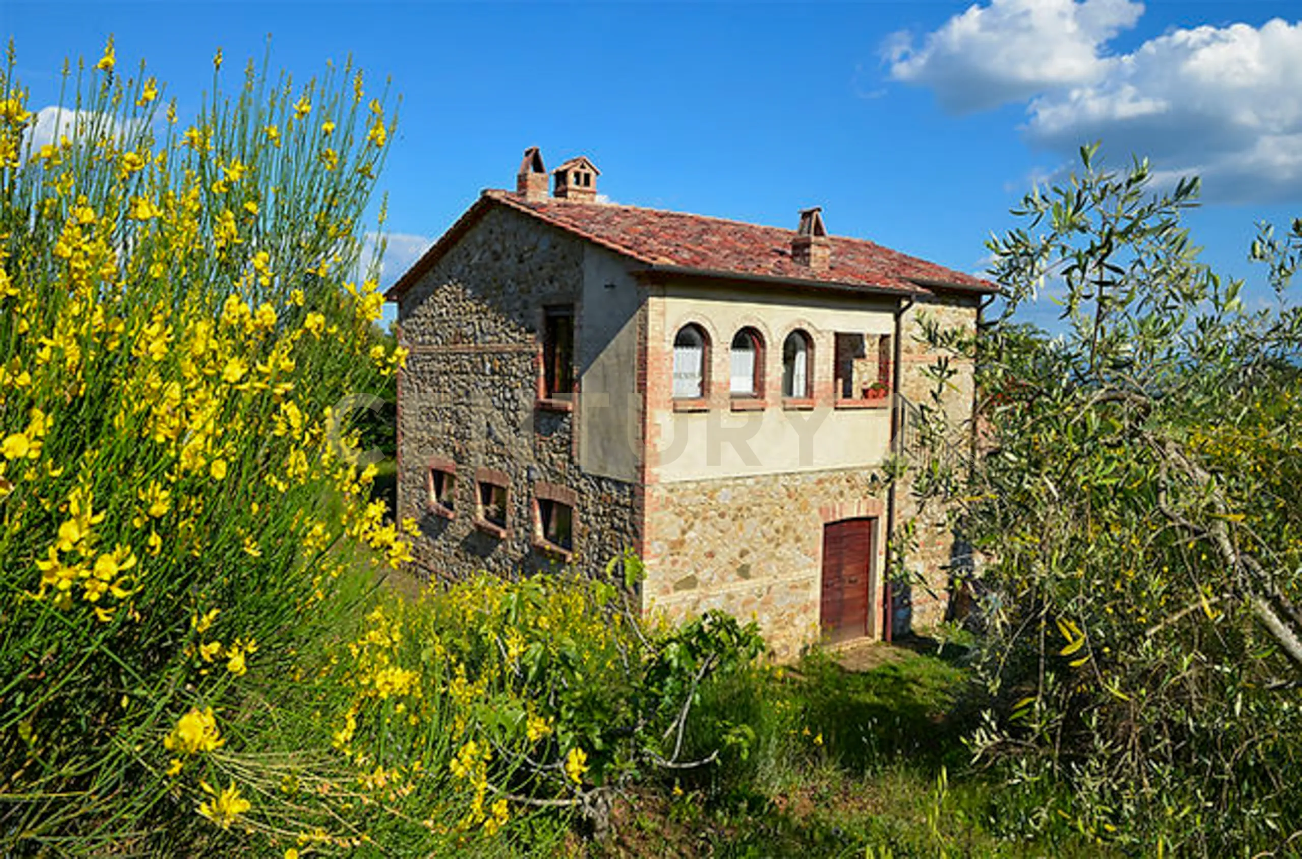 Foto 11 di 23 - Casa indipendente in vendita a Civitella Paganico