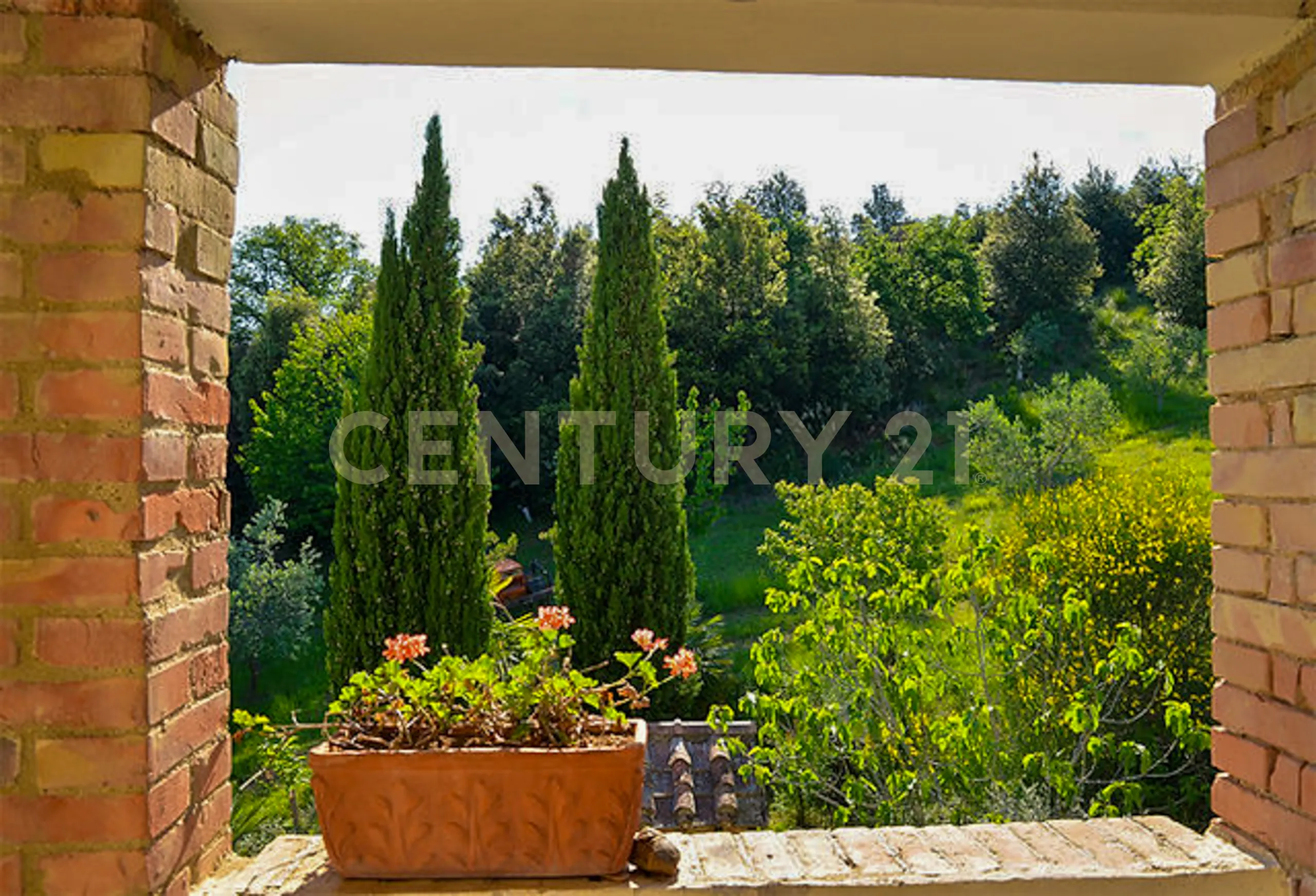 Foto 17 di 23 - Casa indipendente in vendita a Civitella Paganico